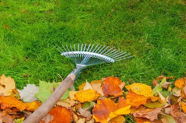 Seasonal Maintenance