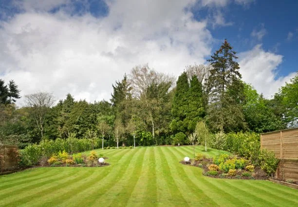 Lawn Mowing