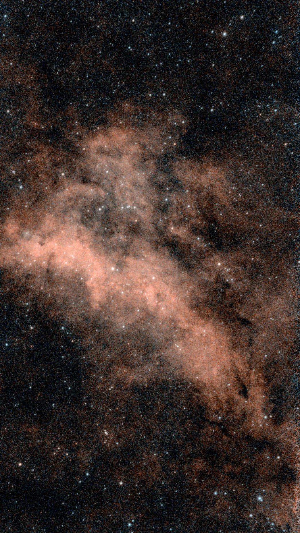 IC 1318A--Portion of Butterfly Nebula