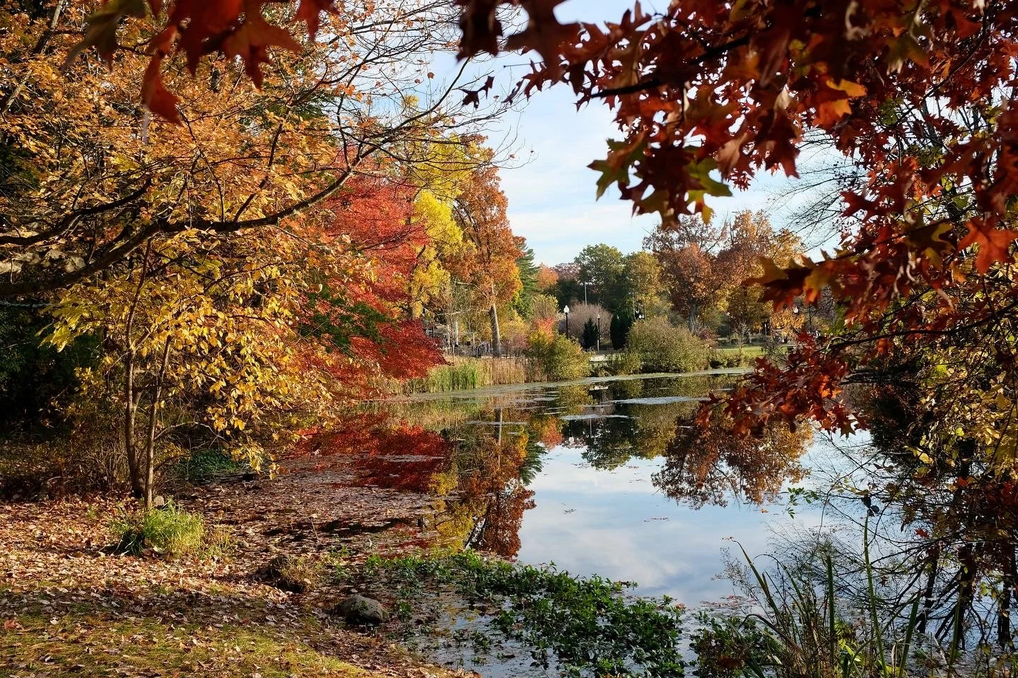 Verona, NJ