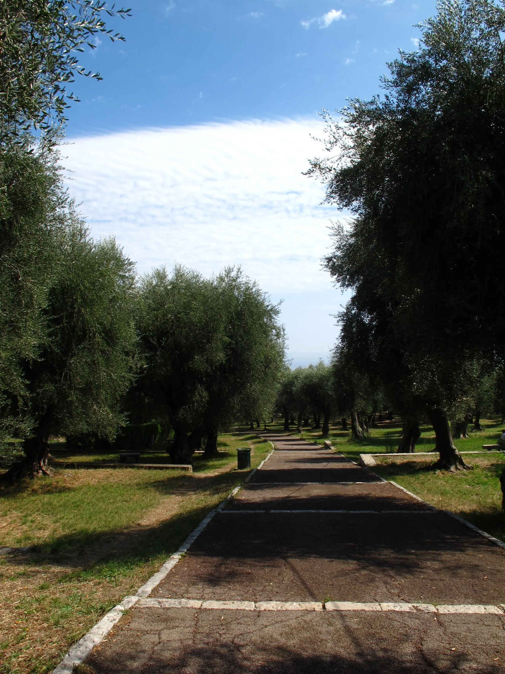 A paved pathway with white borders in a park, surrounded by green grass and tall trees, leading into a sunny, partly cloudy sky.