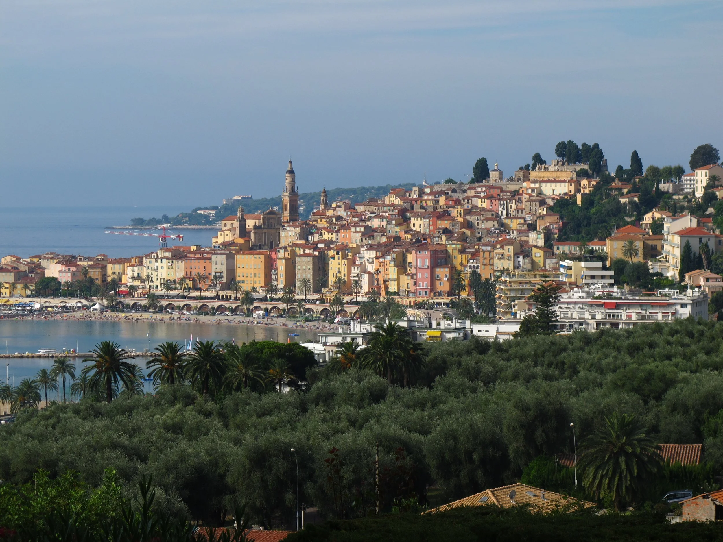 Coastal city with colorful buildings on a hillside overlooking the water, with palm trees in the foreground and a pier or breakwater extending into the sea.