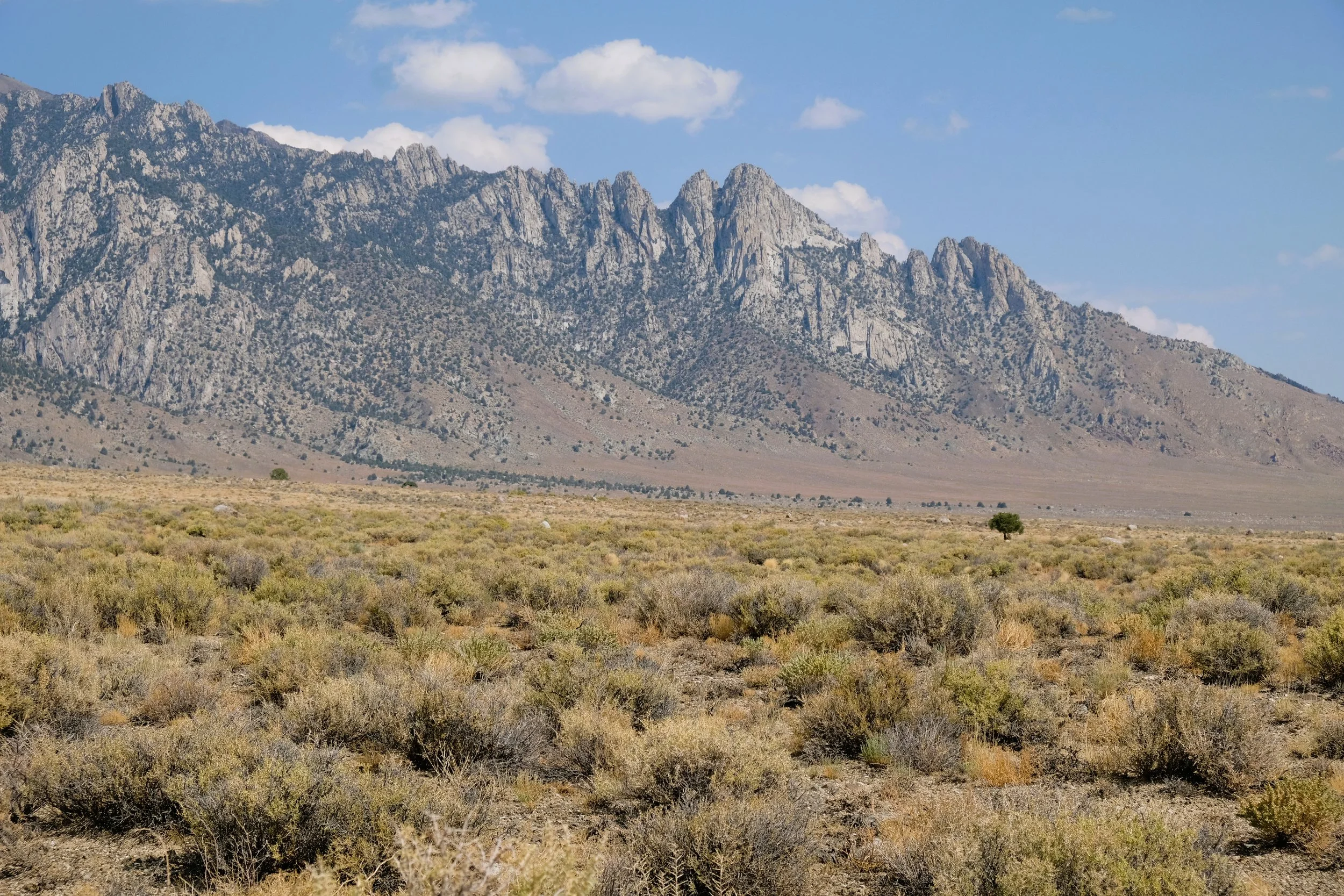 DSCF9817.JPG