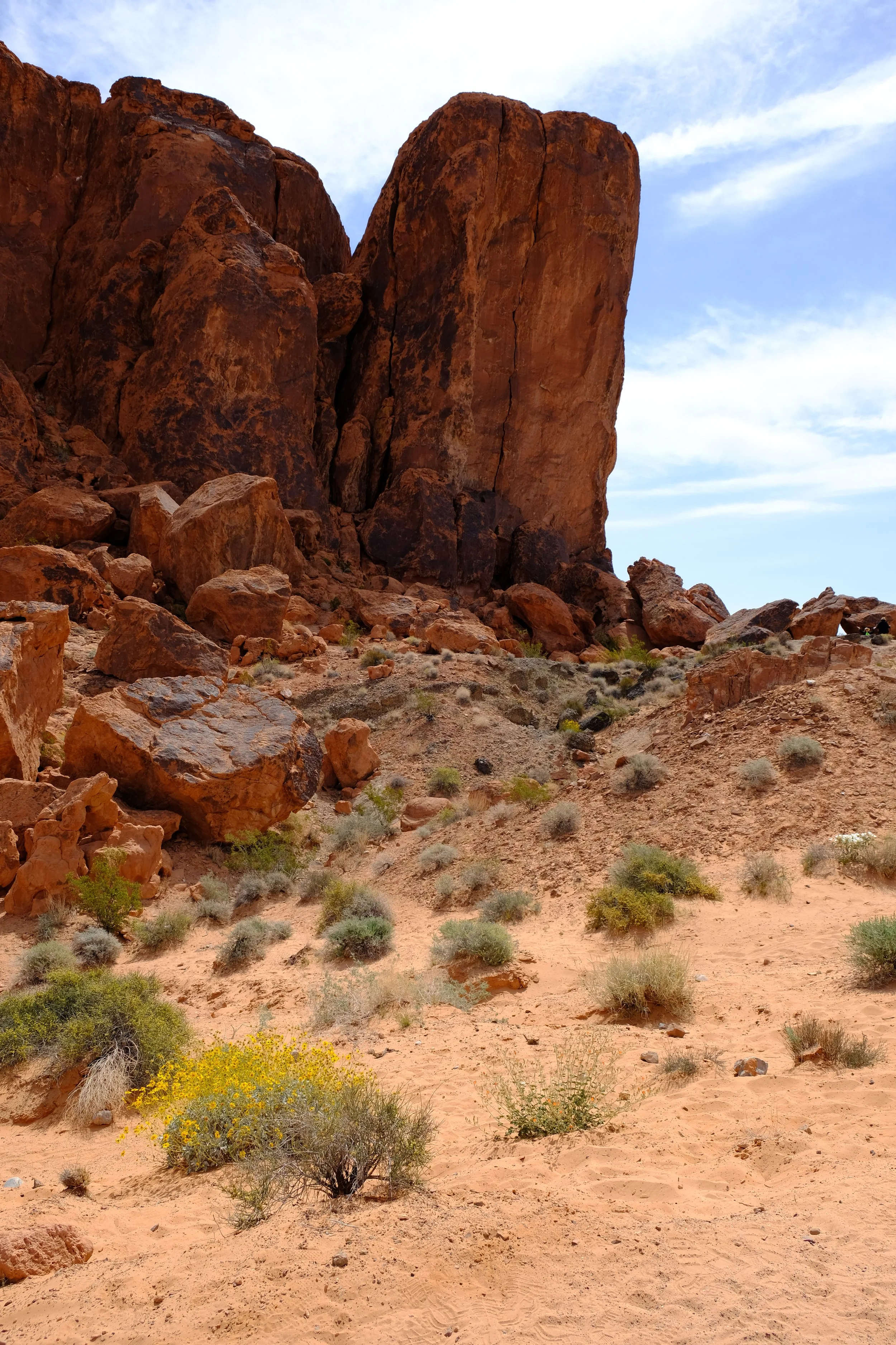 Valley of Fire, NV