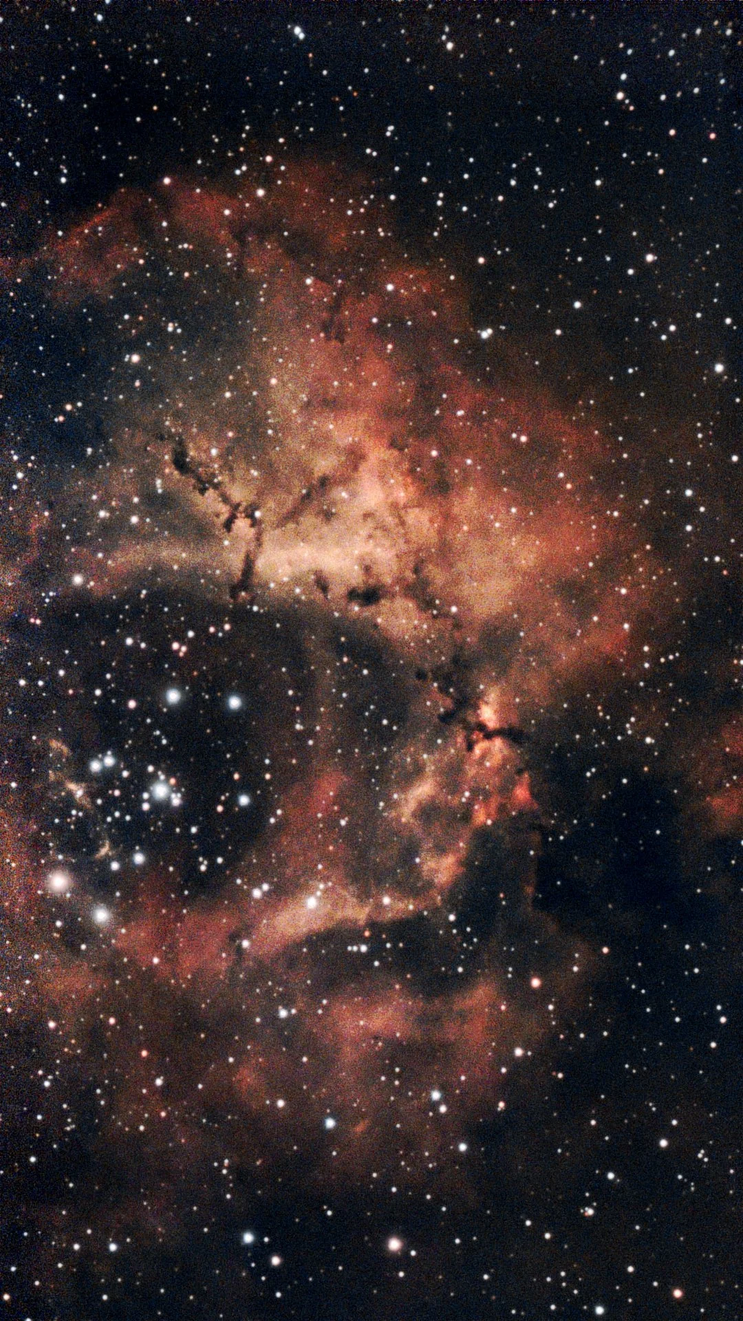 The Rosette Nebula, NGC 2244