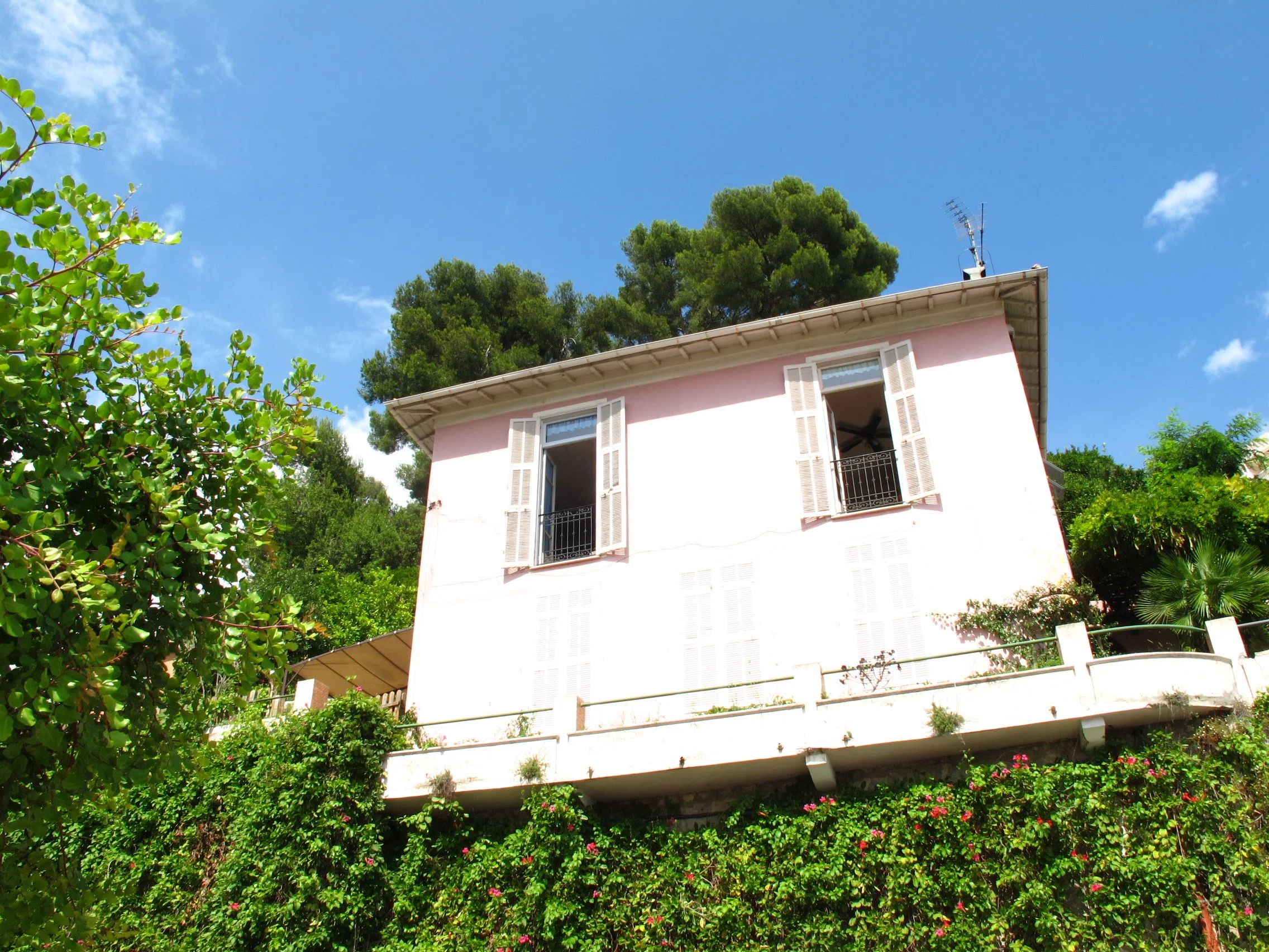 A pink house with white window shutters partially visible behind greenery, with a large tree and a blue sky with a few clouds above.