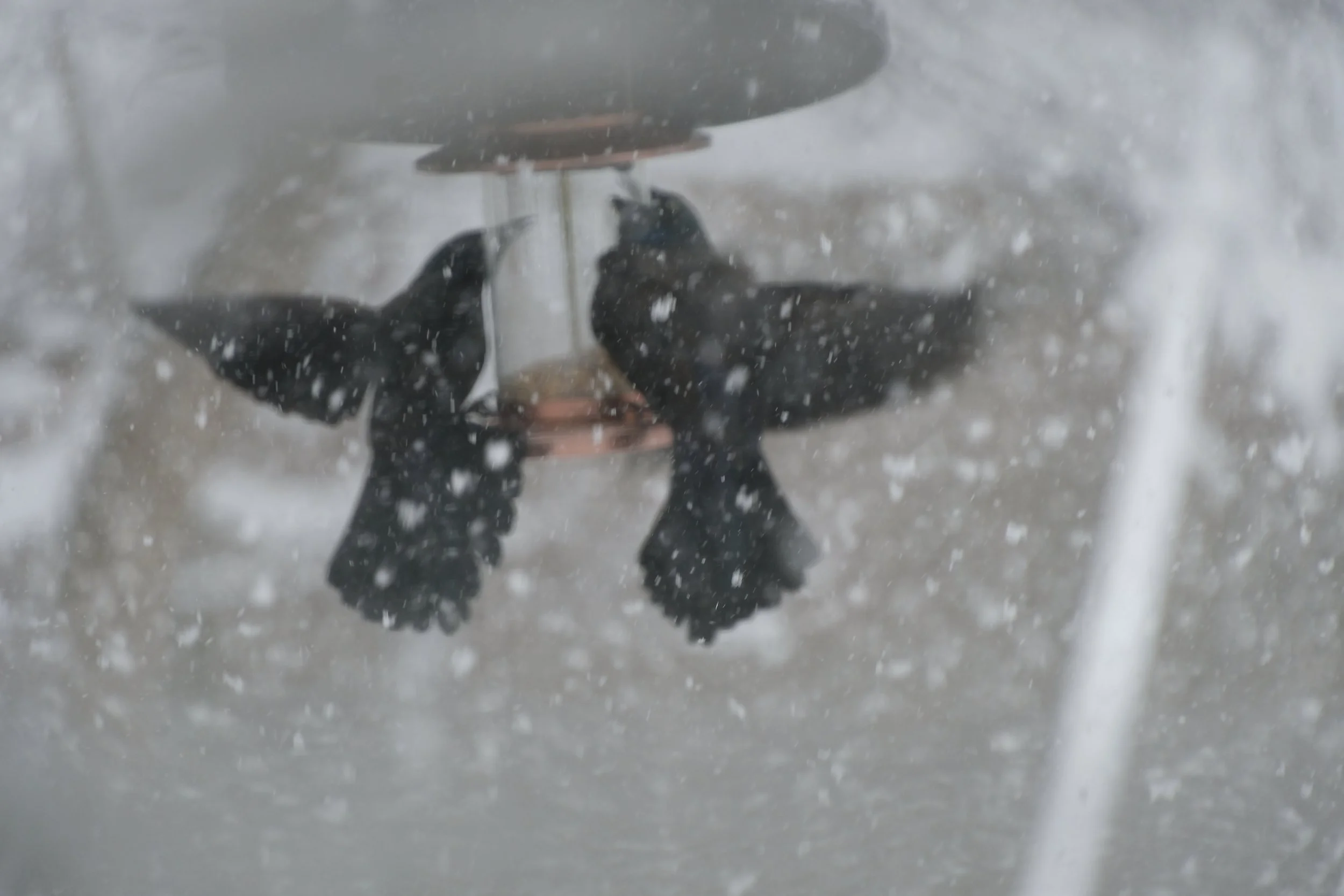 Reflection of a person taking a photo in snowy weather, with snowflakes visible in the air.