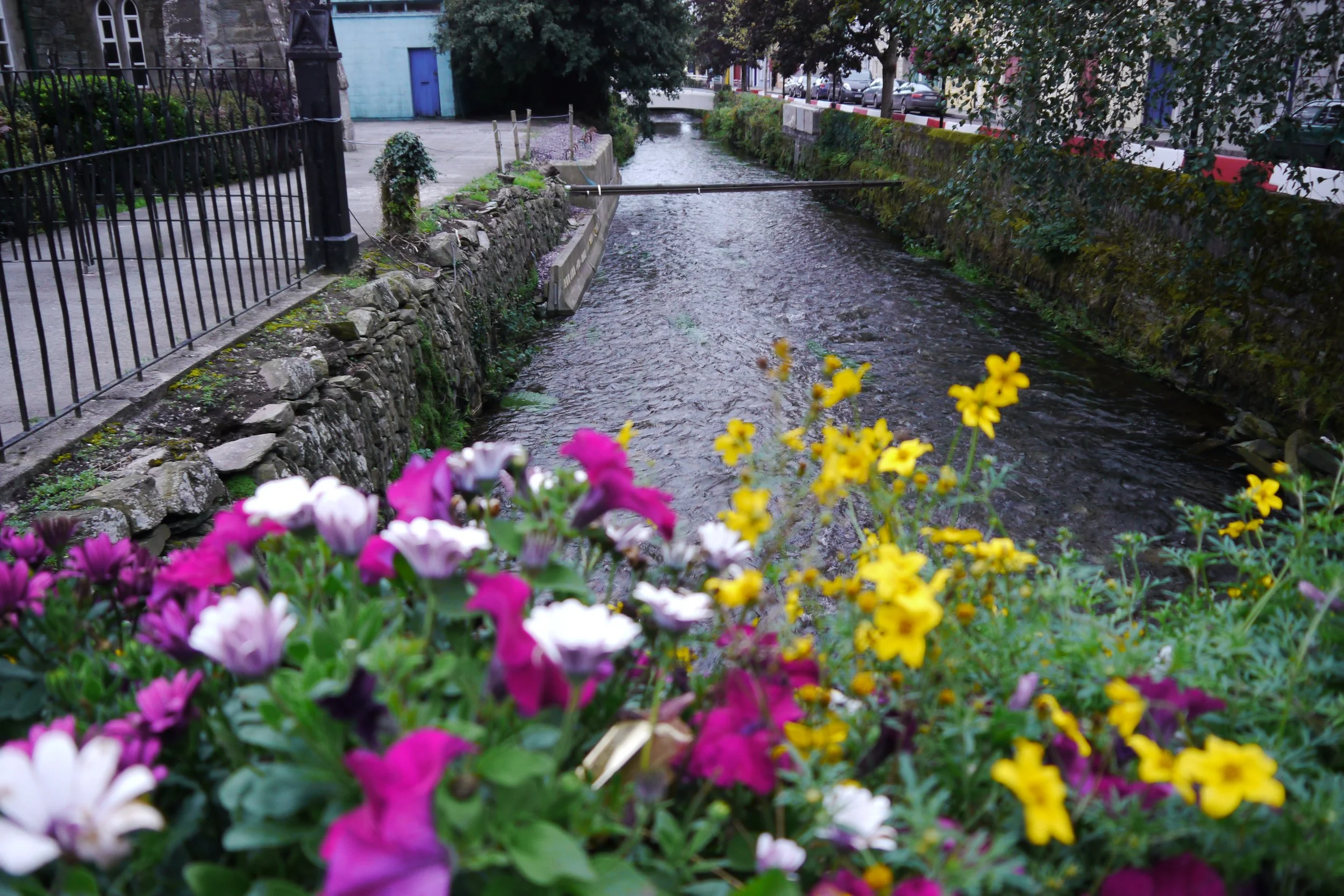 P1000832.JPG