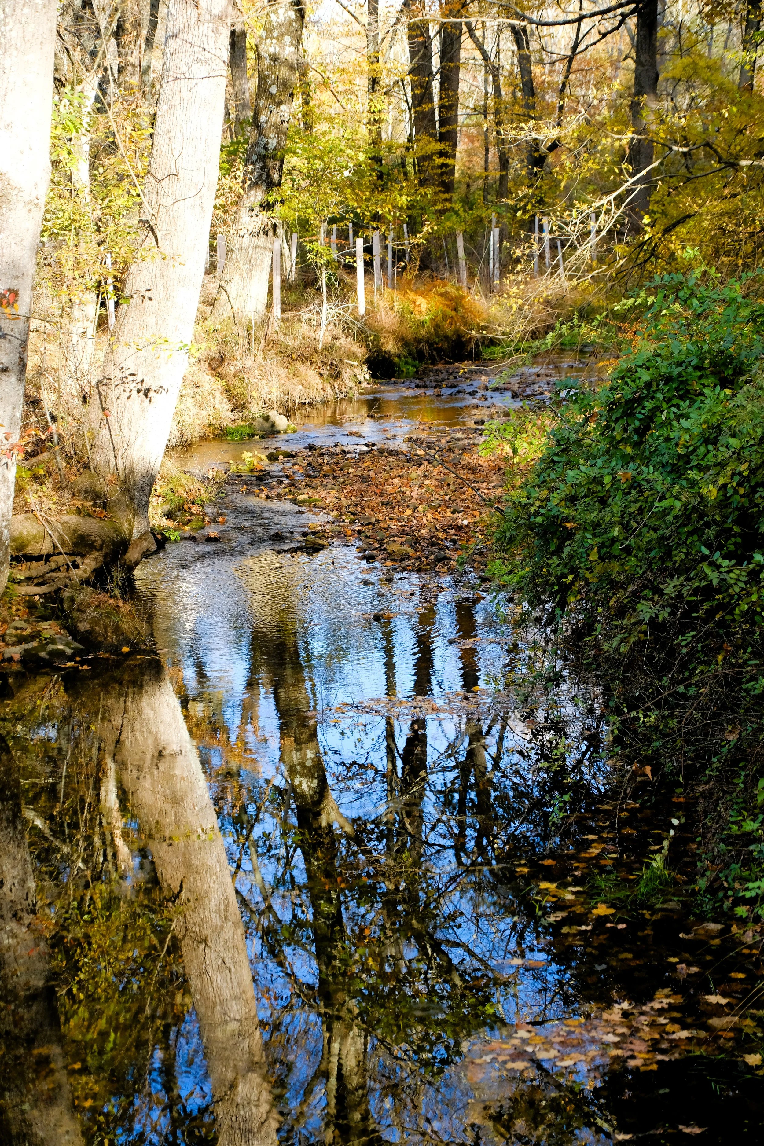 DSCF1806.JPG