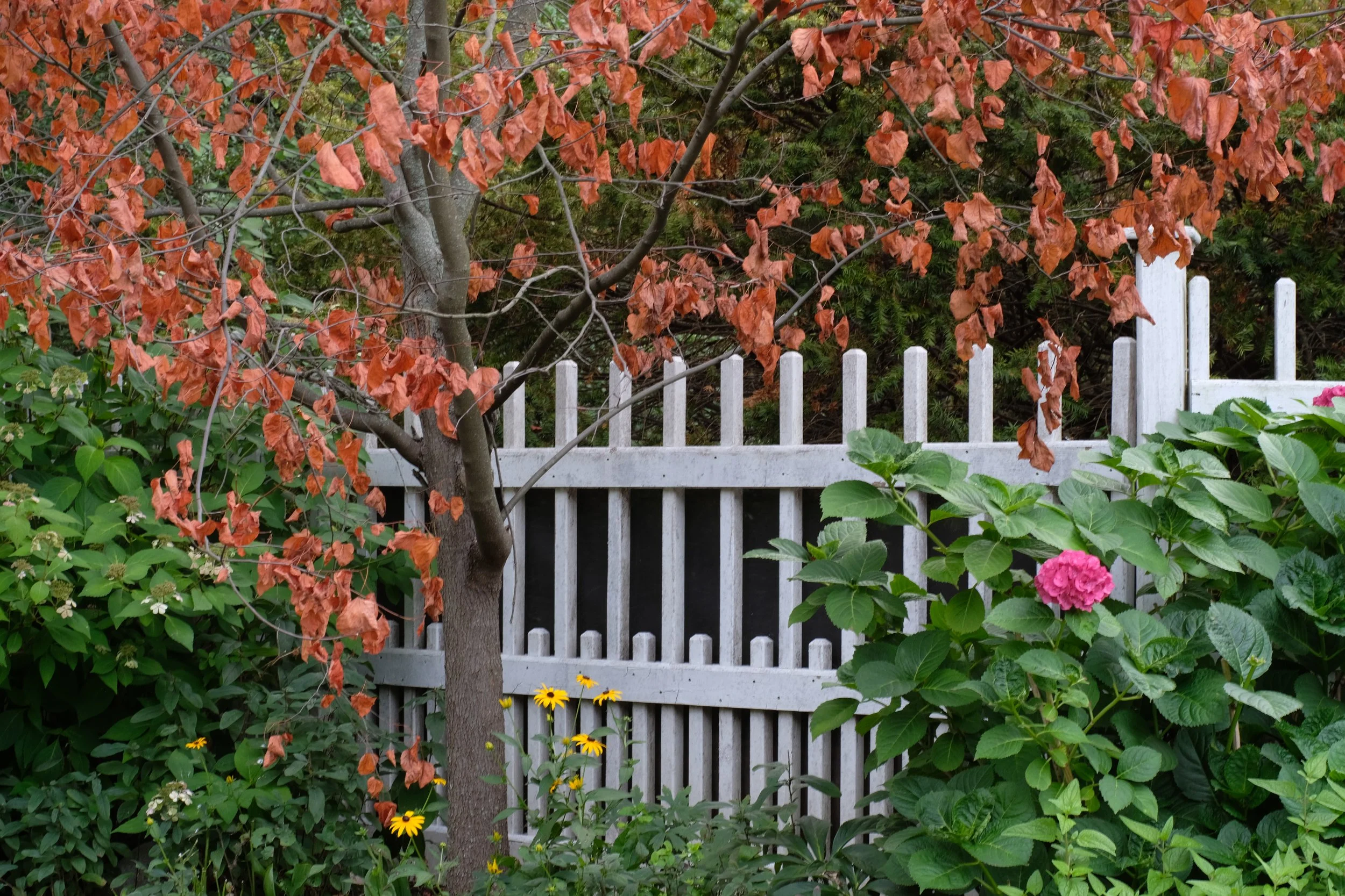 DSCF5403.JPG