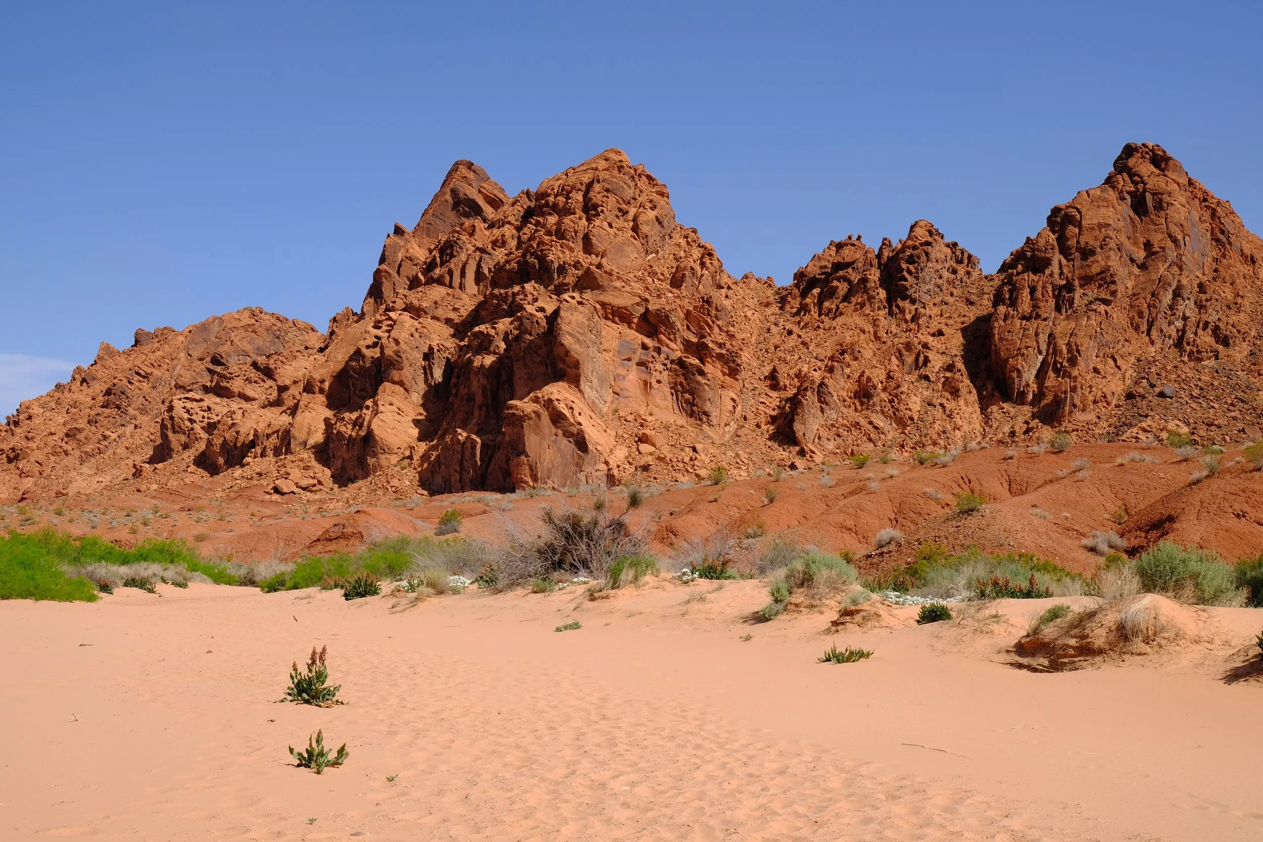 Valley of Fire, NV