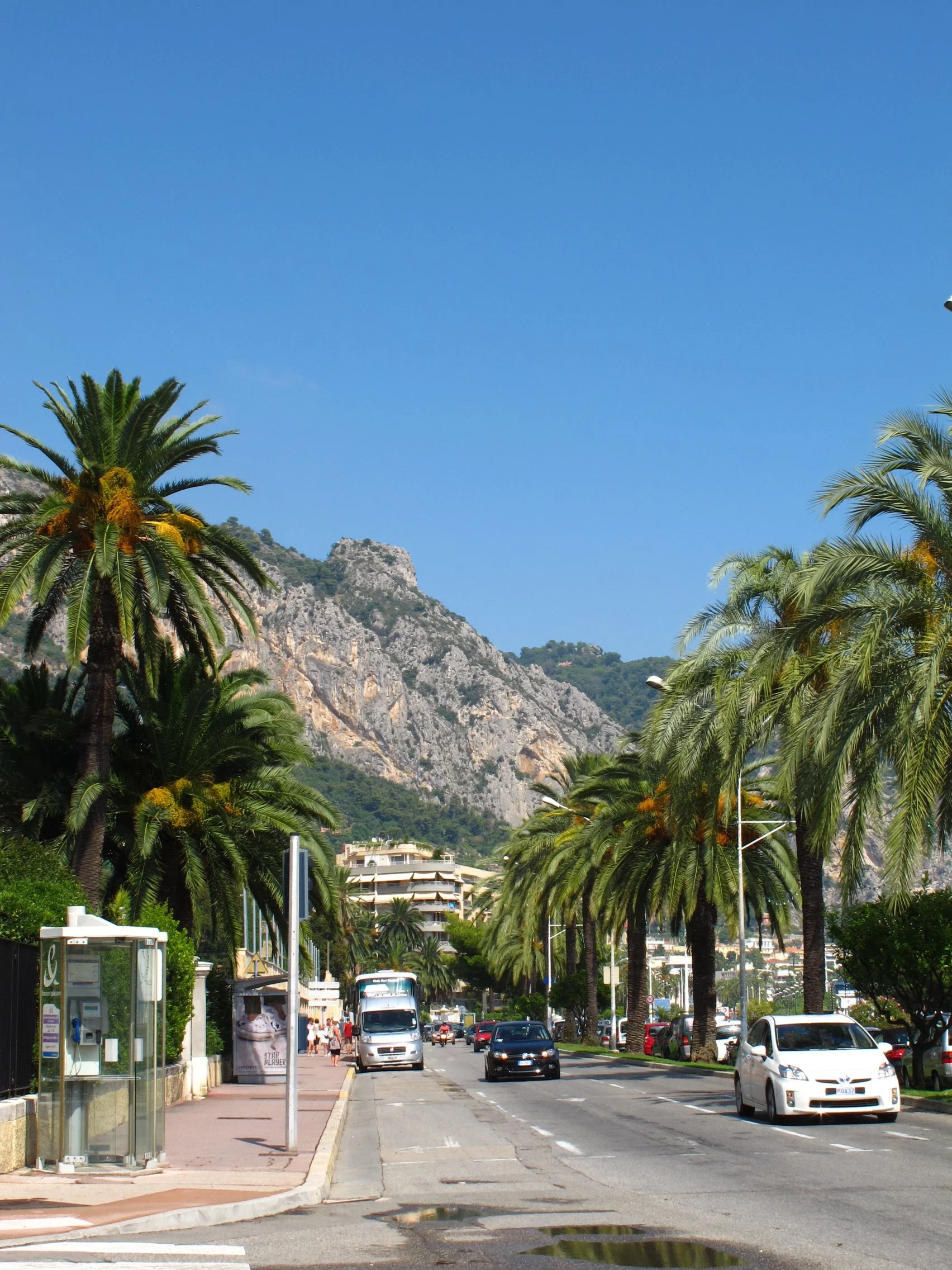 A street scene with palm trees lining the sidewalk, cars driving along the road, and high-rise buildings in the background with a mountain behind them under a clear blue sky.