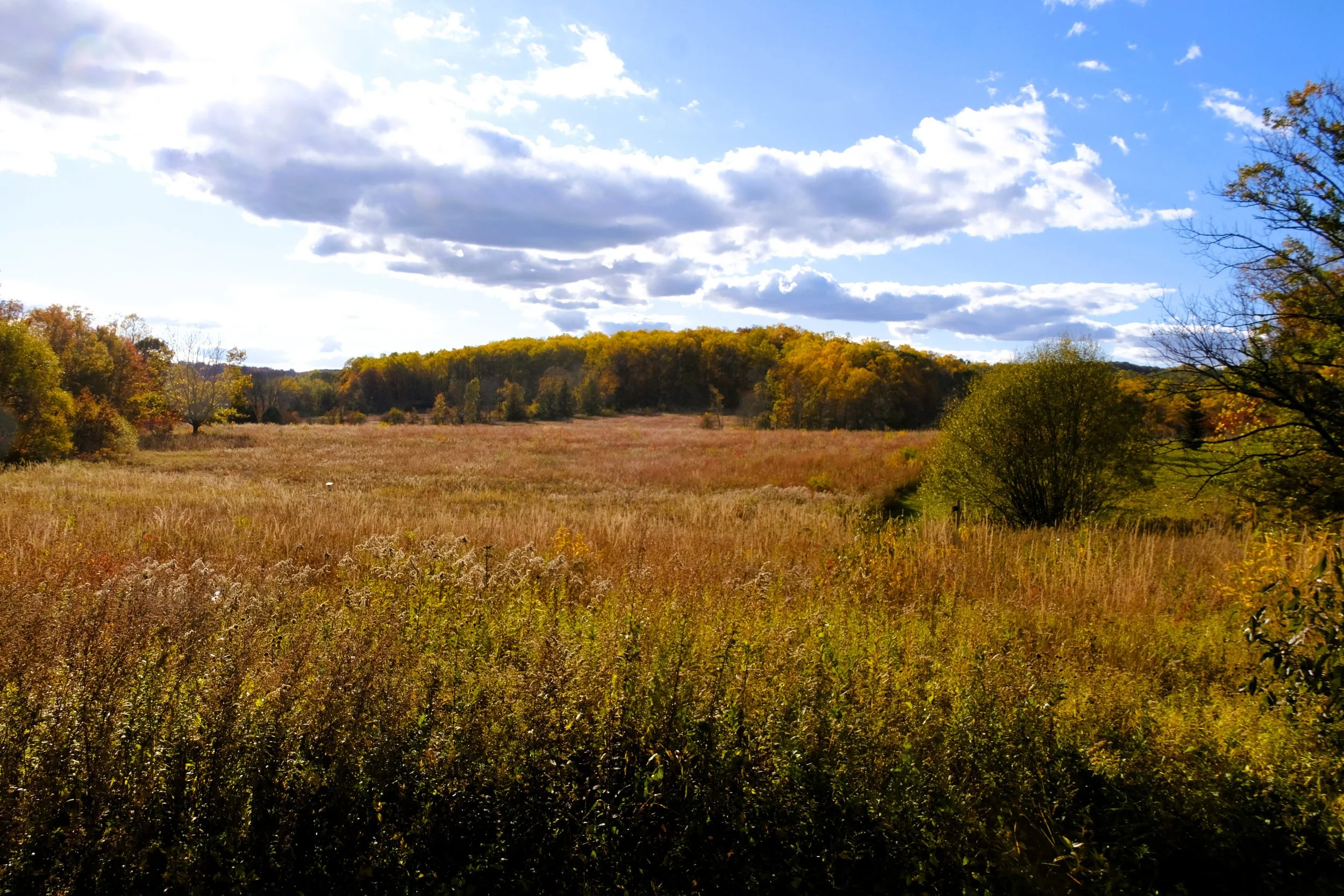 DSCF1797.JPG