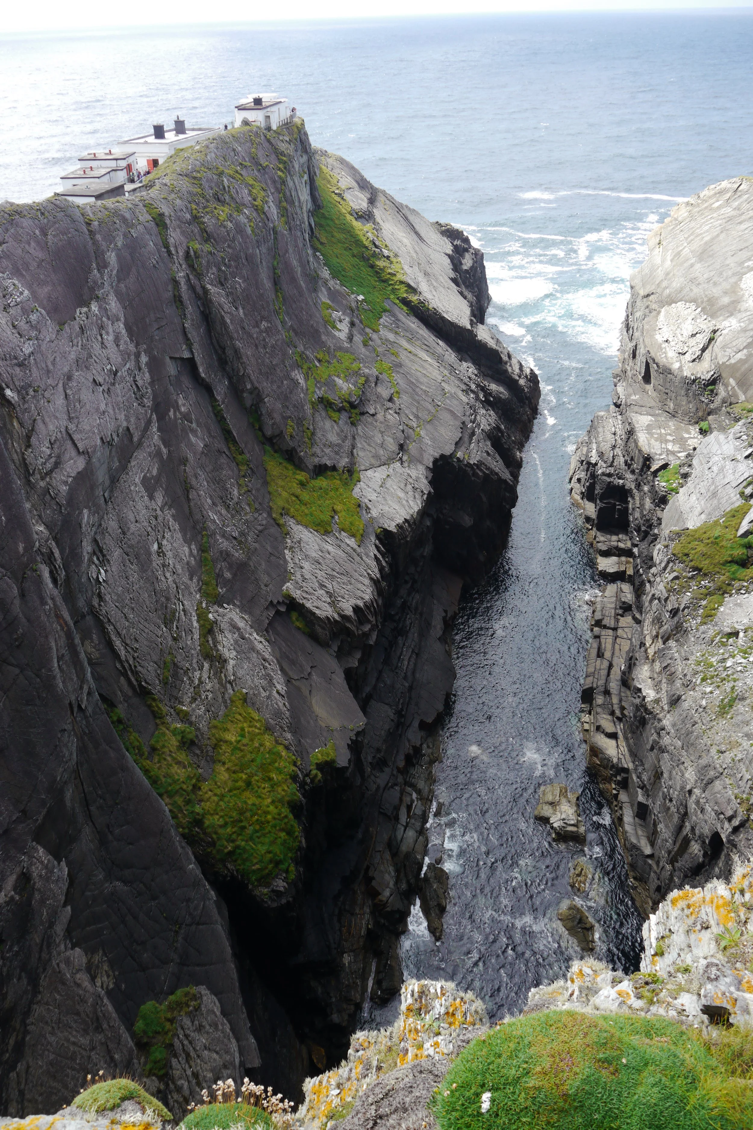 P1000785.JPG