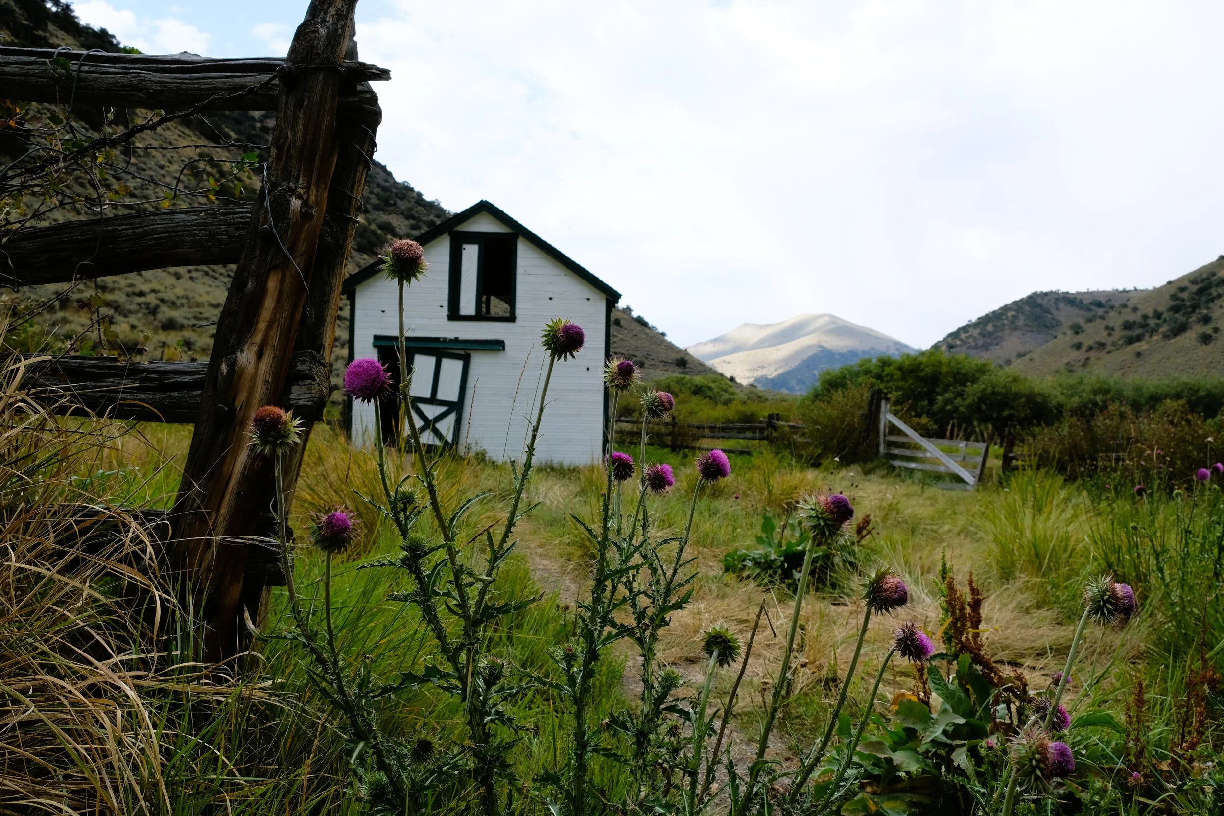 DSCF9811.JPG