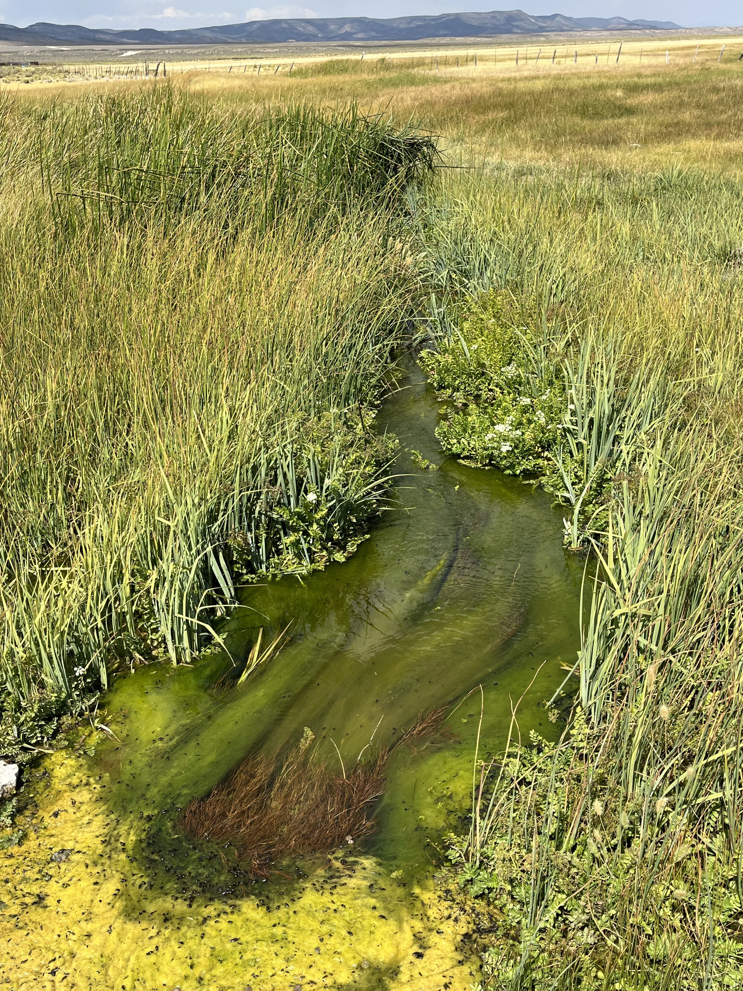 20240907_190907522_iOS.jpg