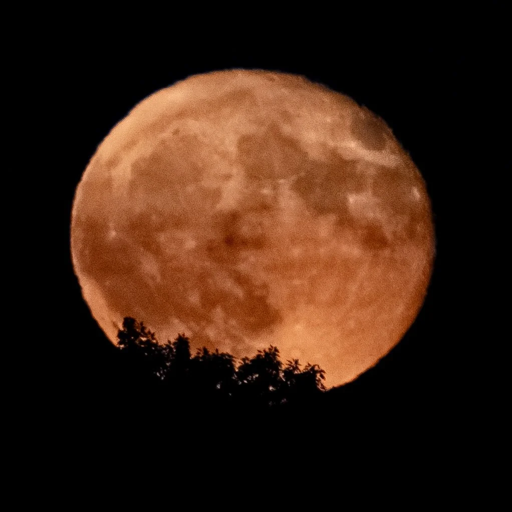 Moonrise