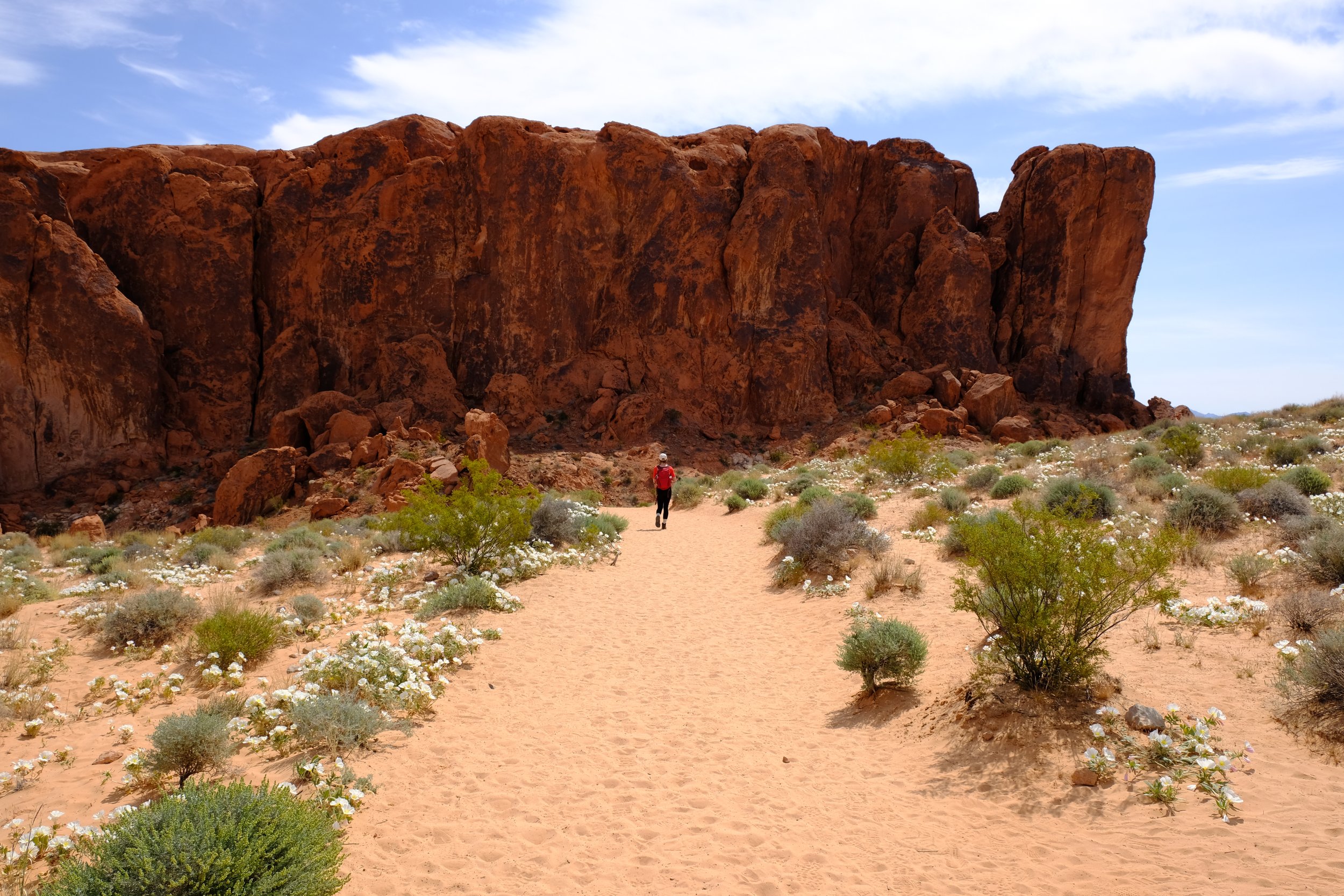 Valley of Fire, NV
