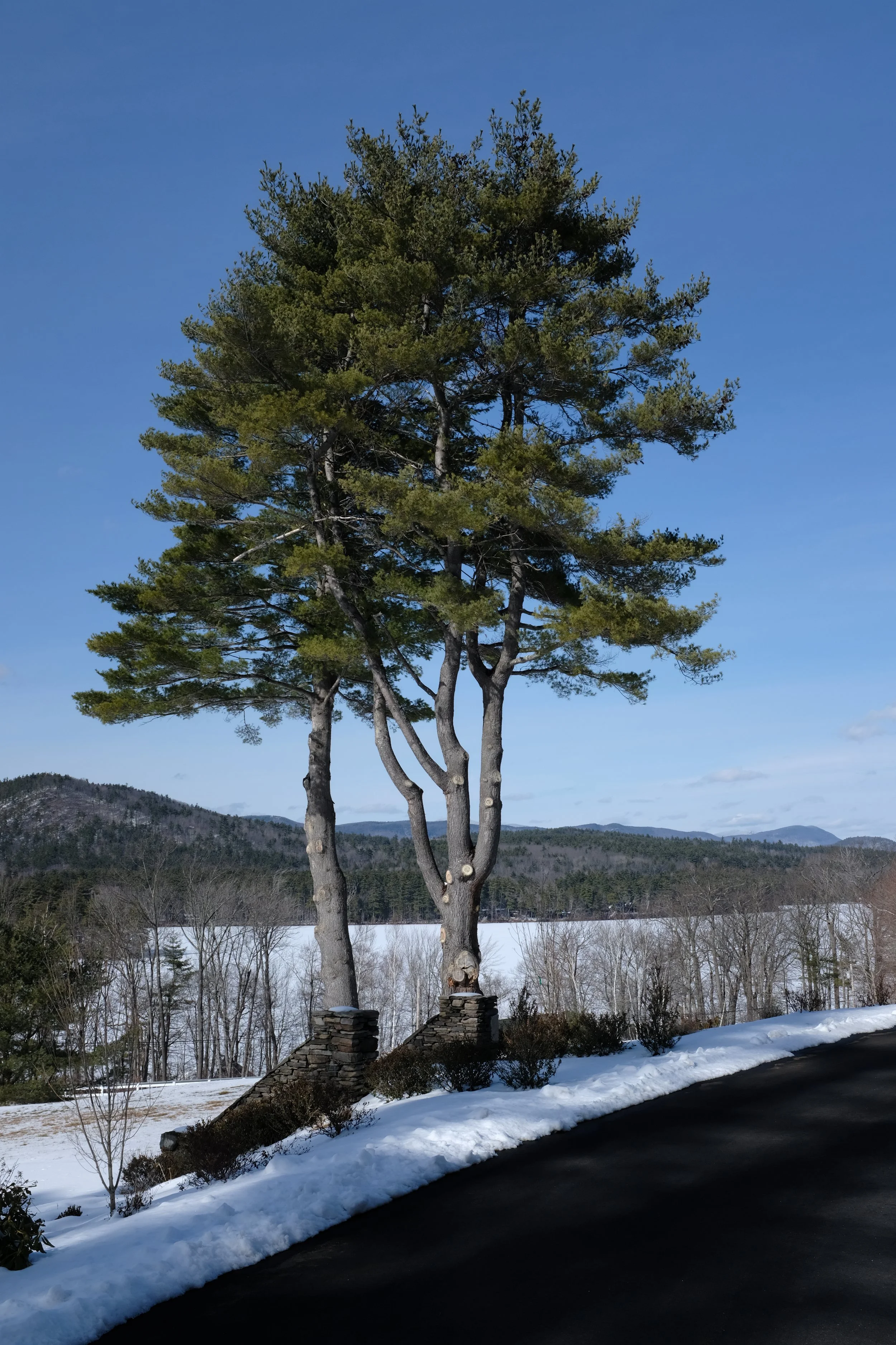 DSCF6358.JPG