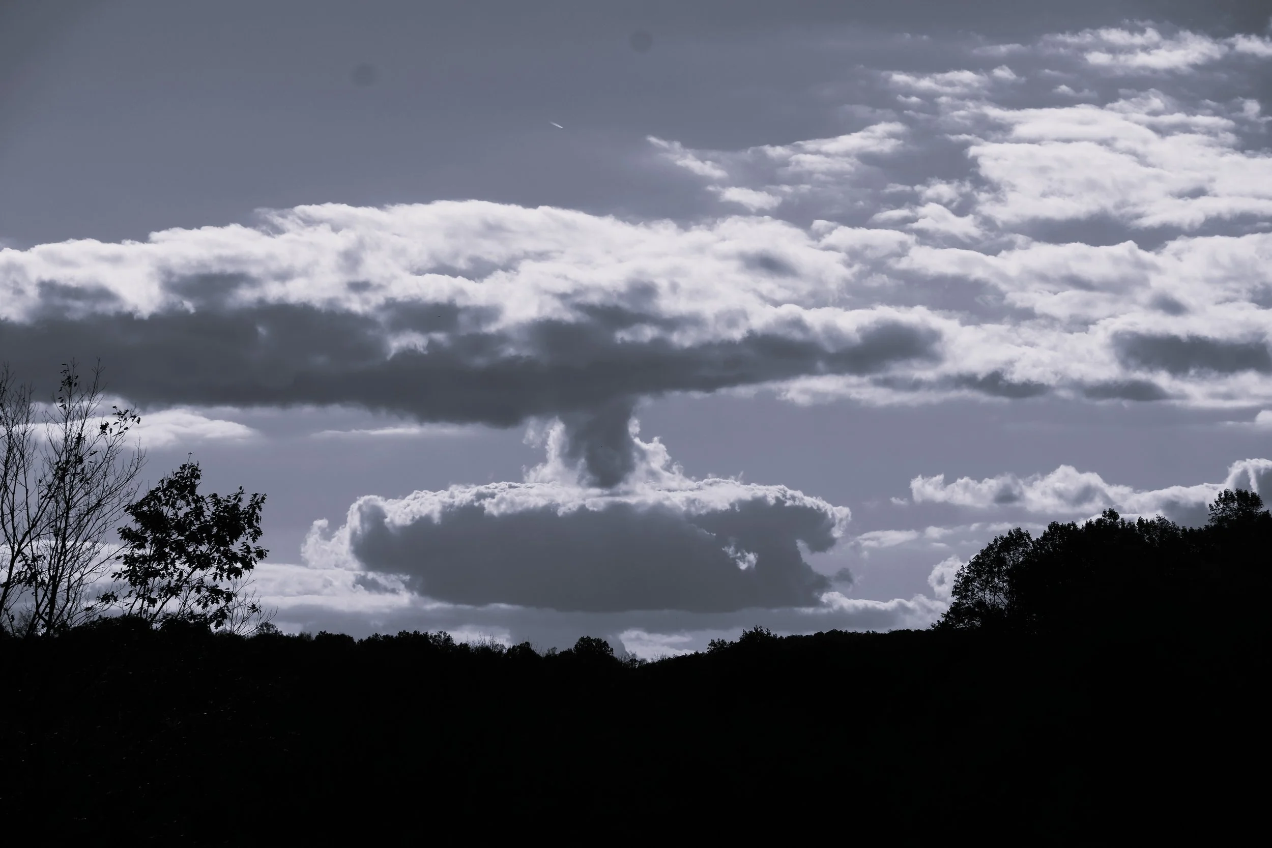 DSCF1789.JPG