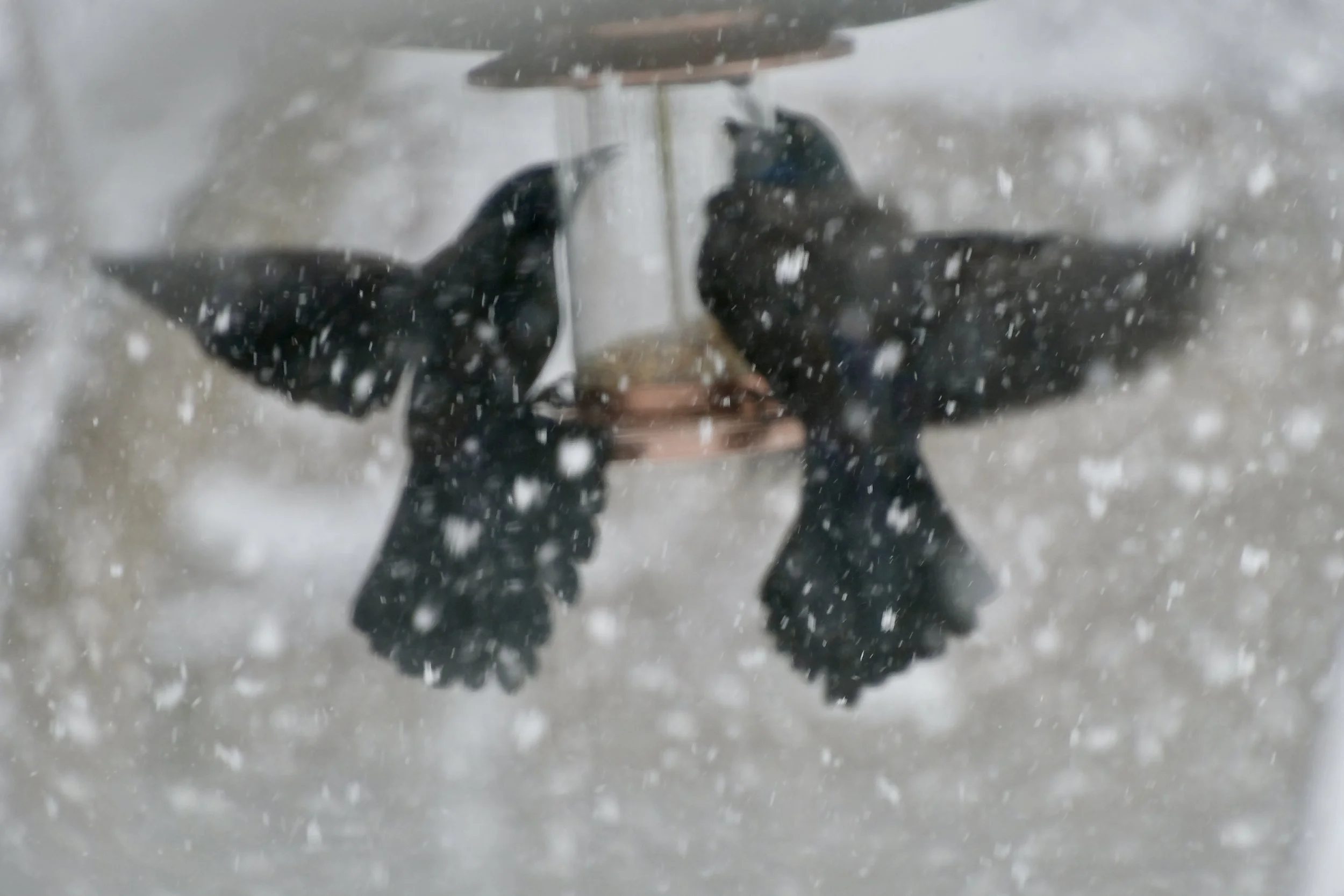 A reflection of a person taking a photo with their phone in a window or mirror, with snow falling around them, creating a blurred snow-filled background.