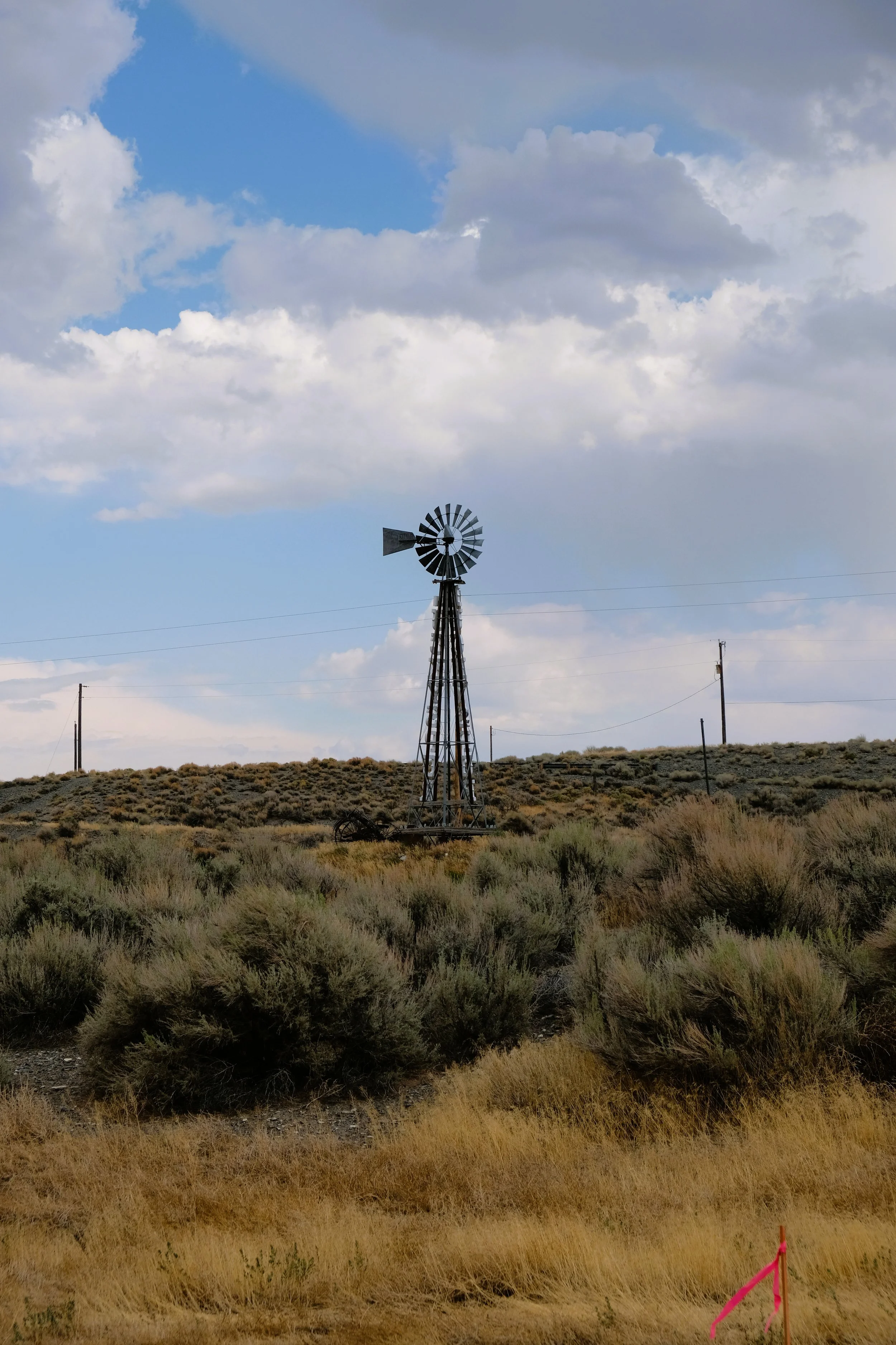 DSCF9799.JPG
