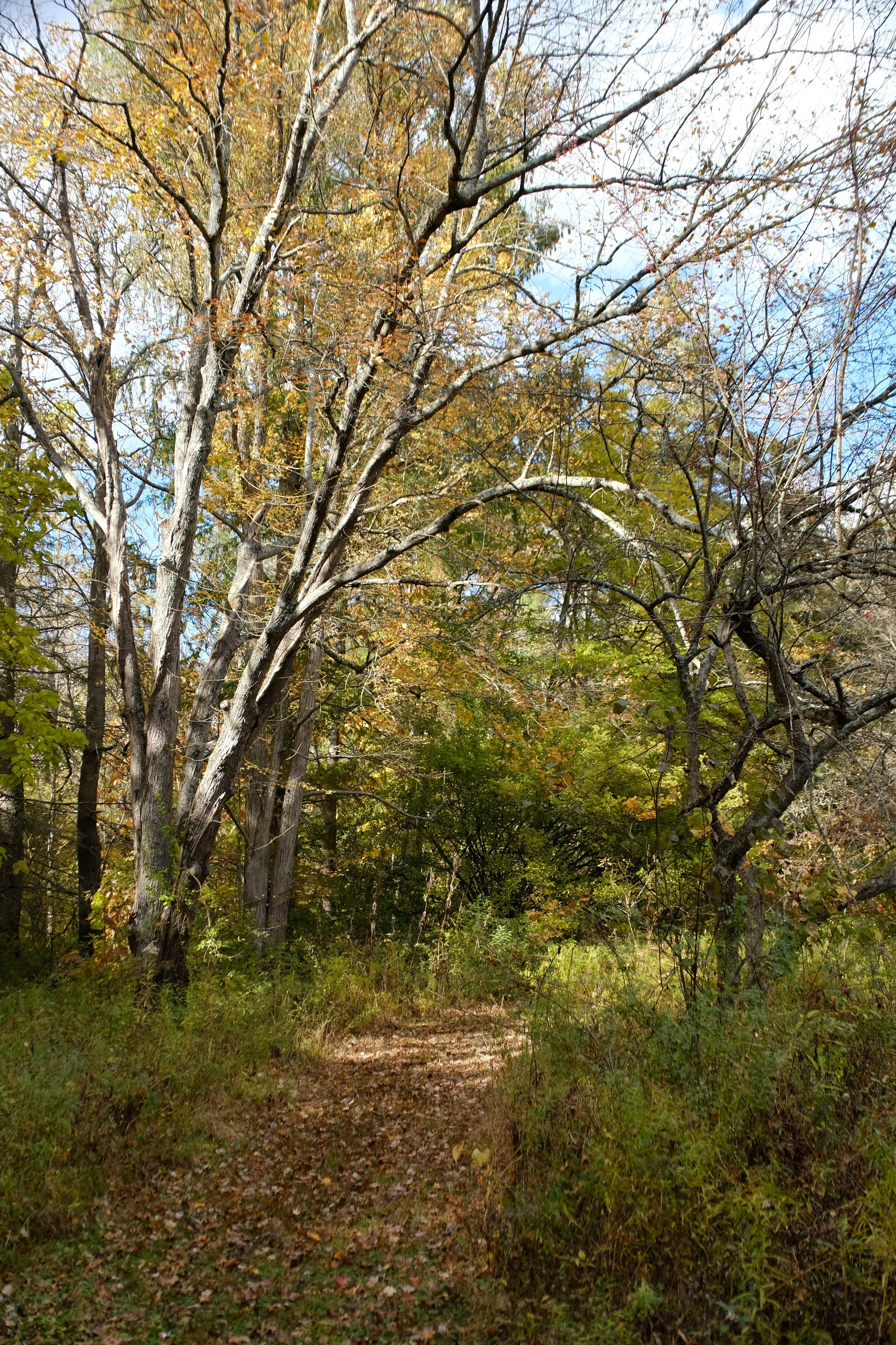 DSCF1769.JPG