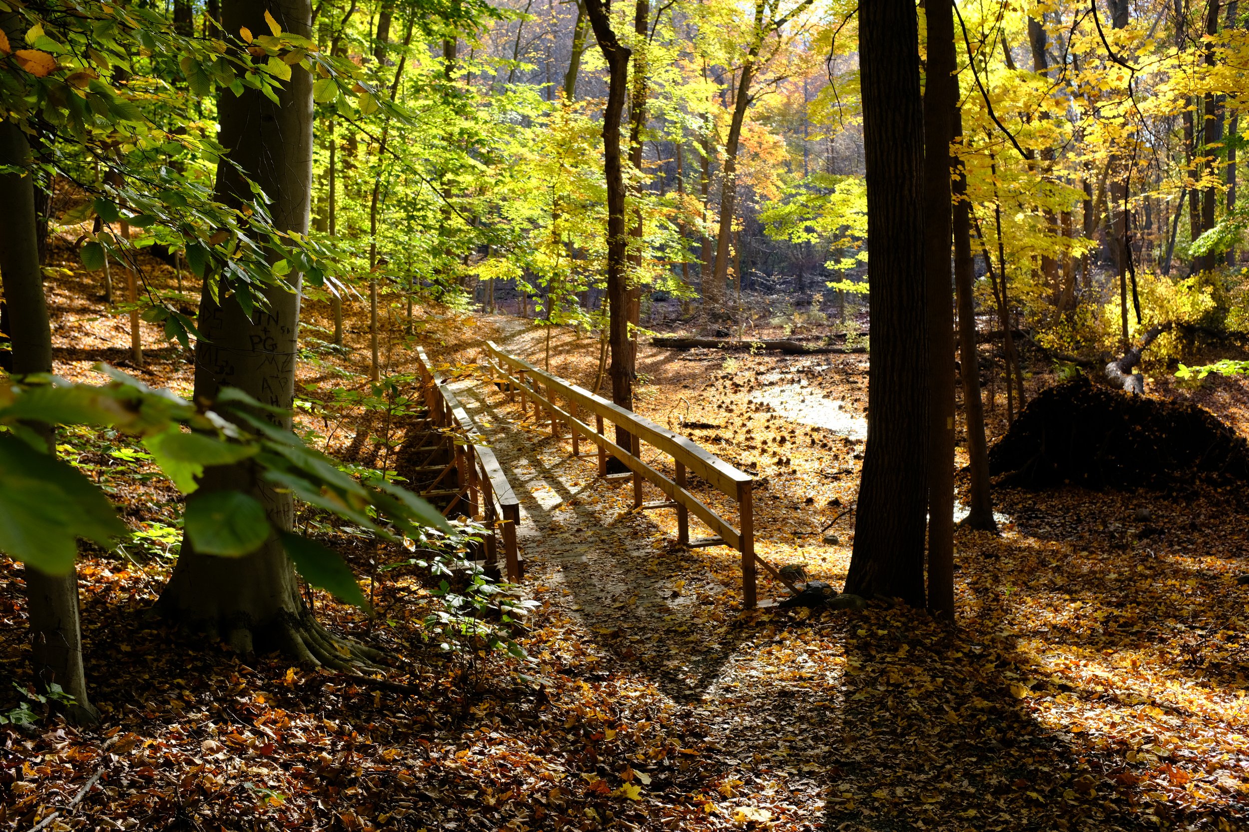 Morris County, NJ