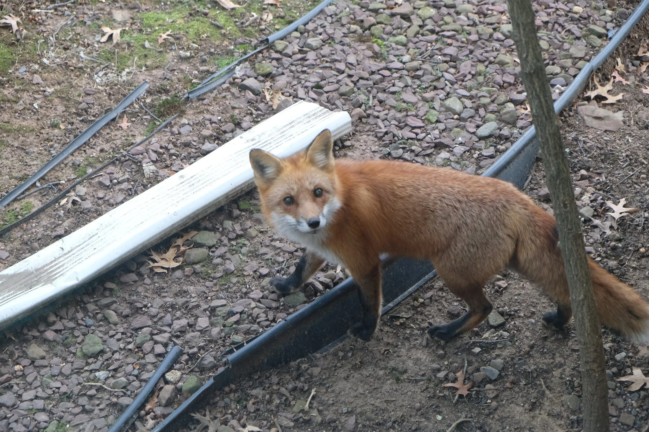 DSCF7512.JPG