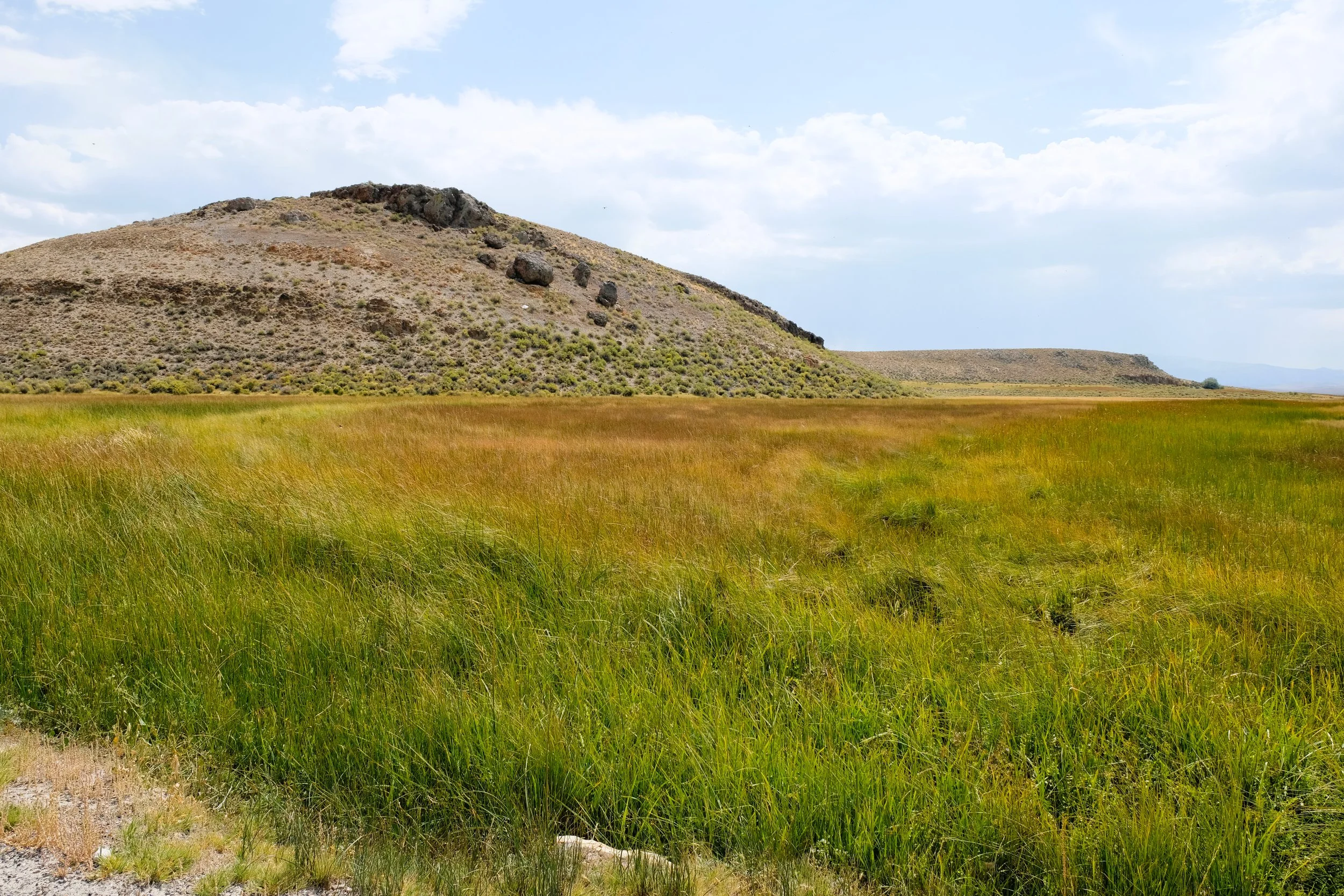 DSCF9773 1.JPG