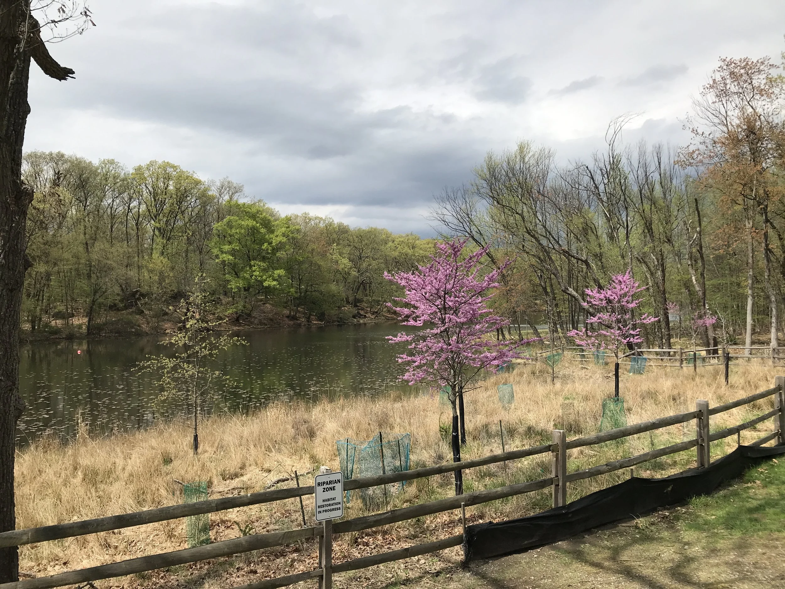 Totowa, NJ