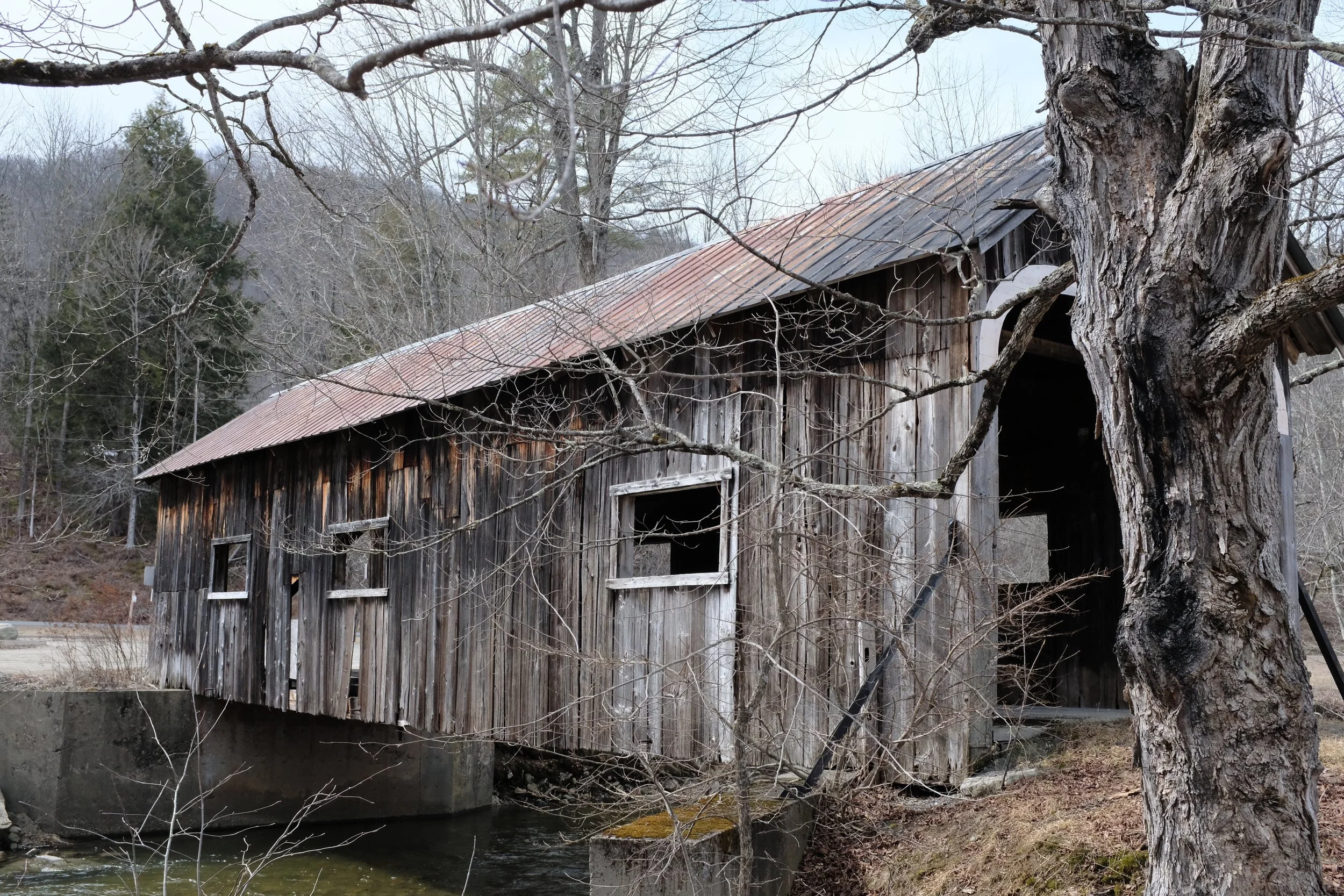 DSCF6423.JPG