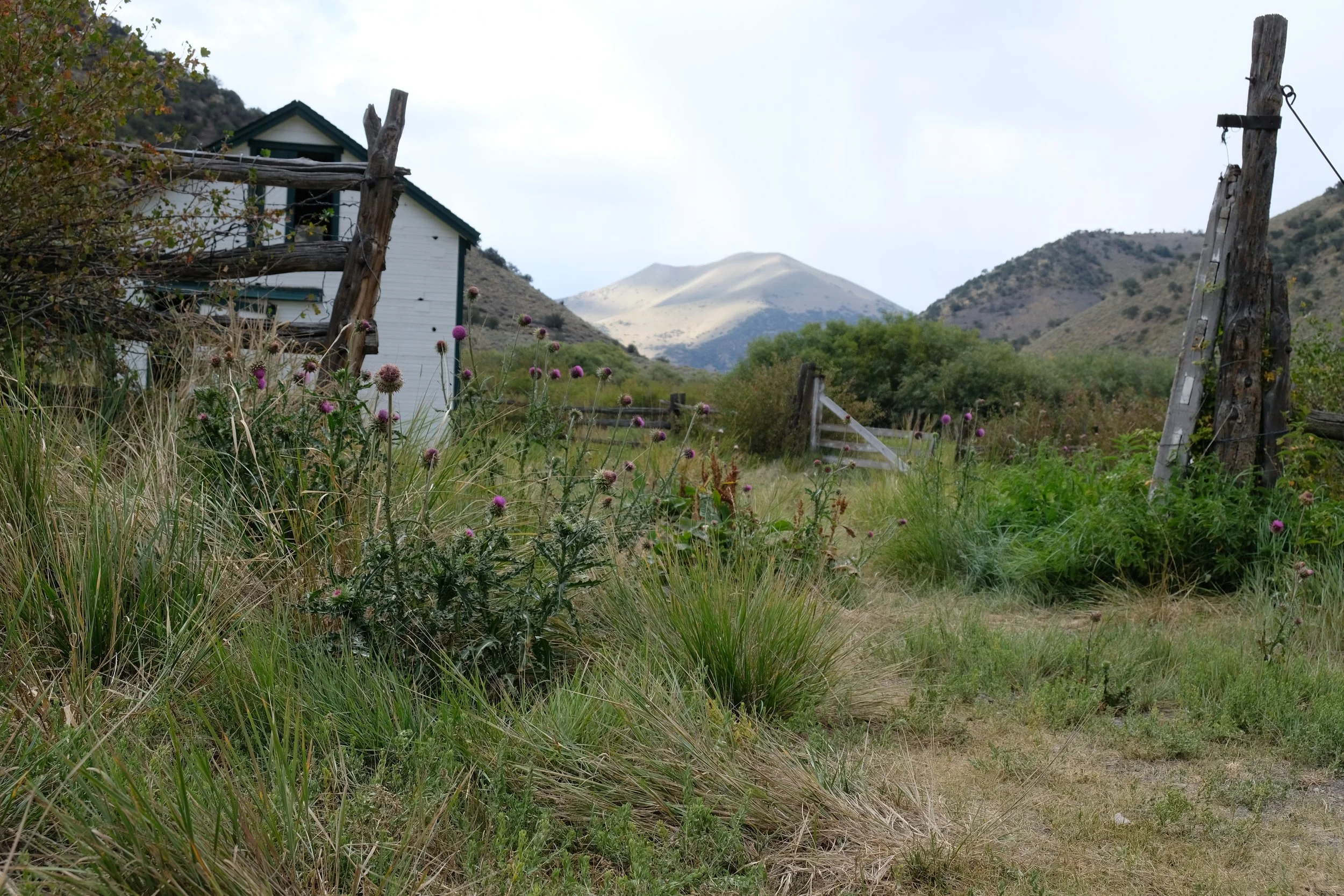 DSCF9810.JPG