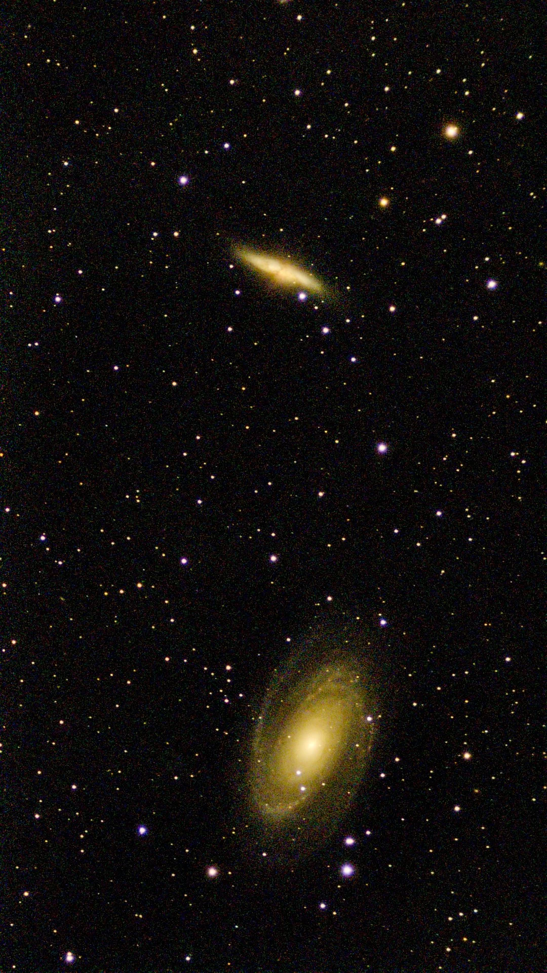 Bode's Galaxy, M 81