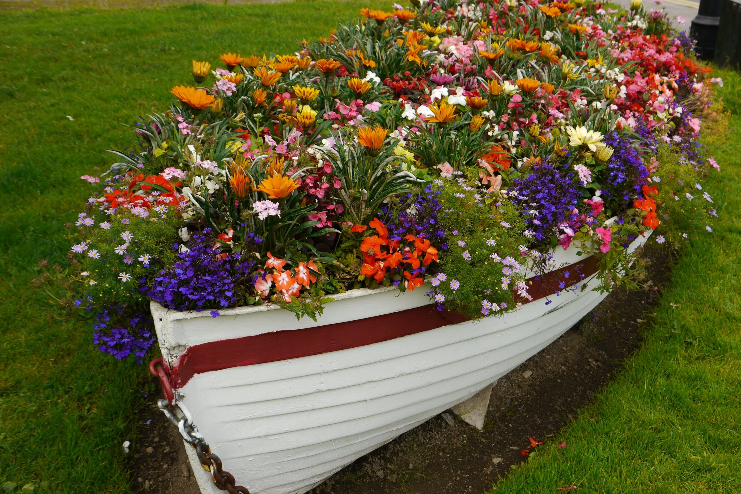 Colorful flower garden in an old boat-shaped planter on bright green grass.