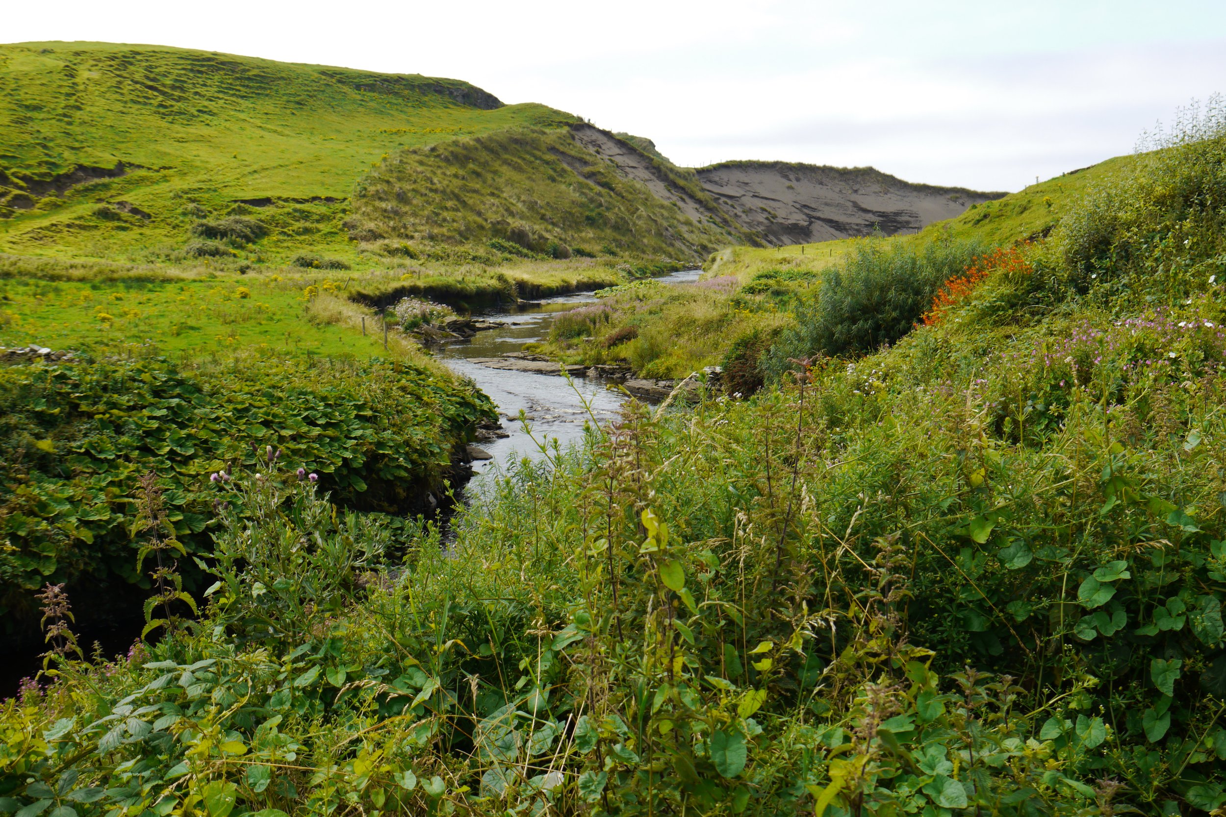 P1000557.JPG