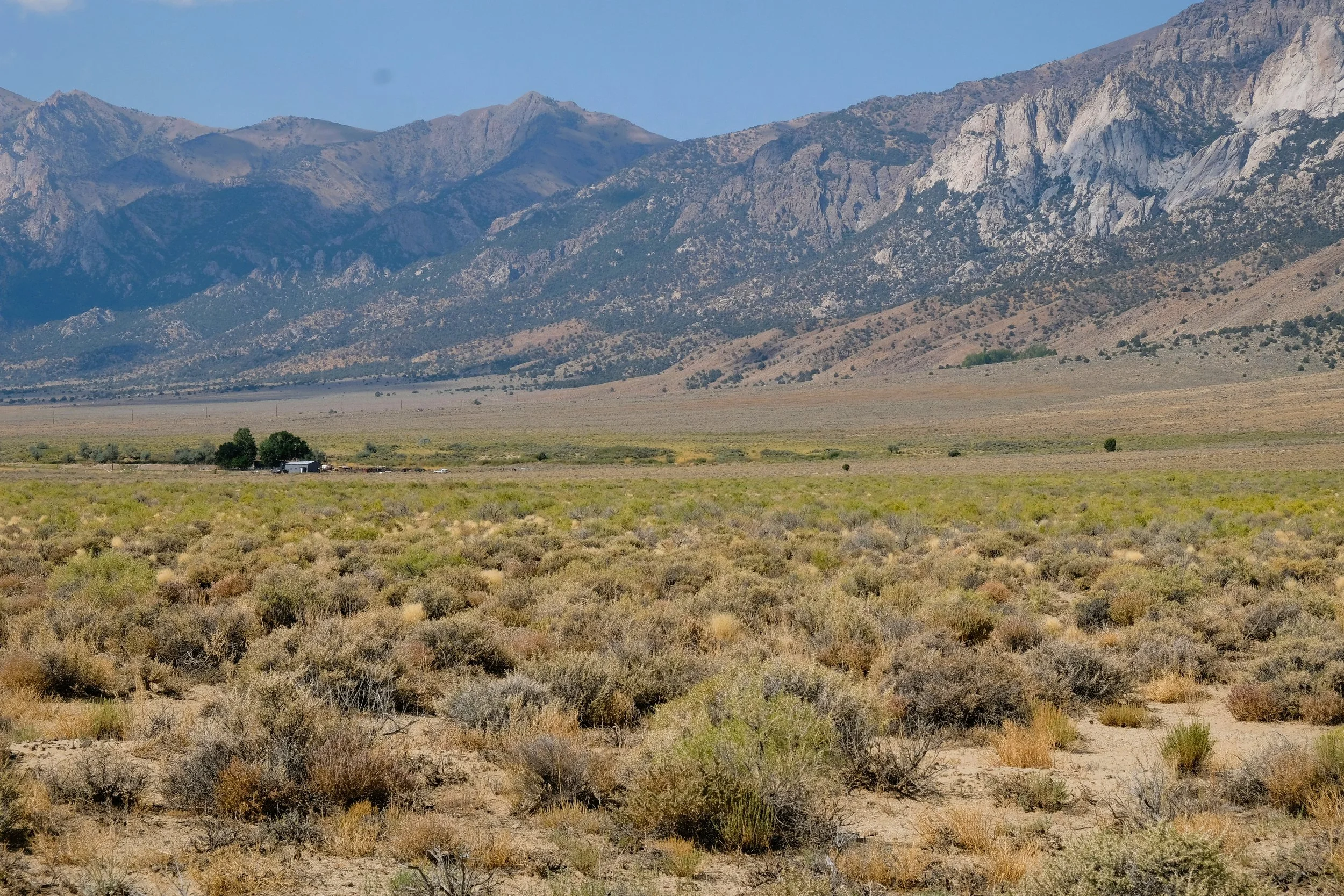 DSCF9816.JPG