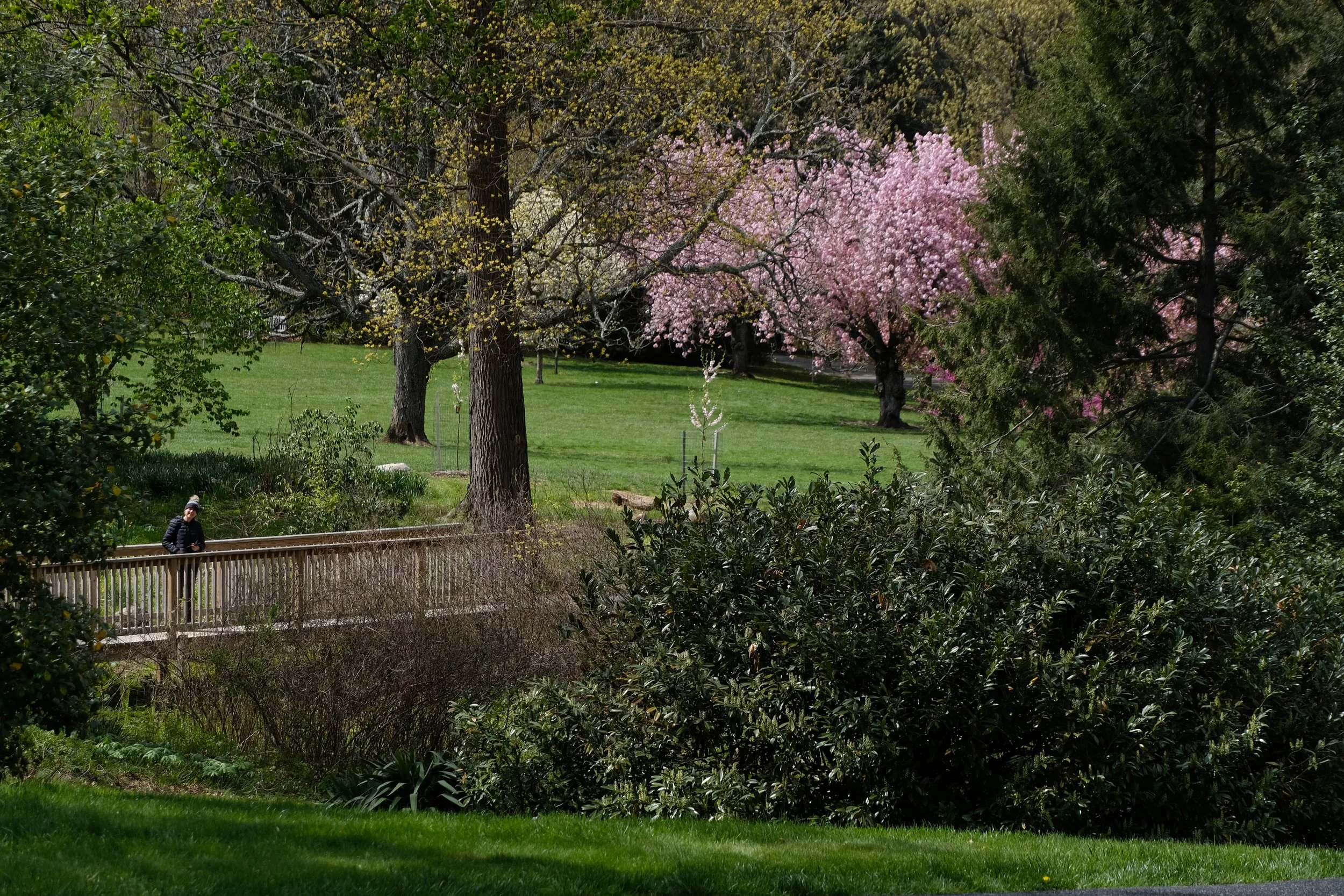 DSCF3075.JPG
