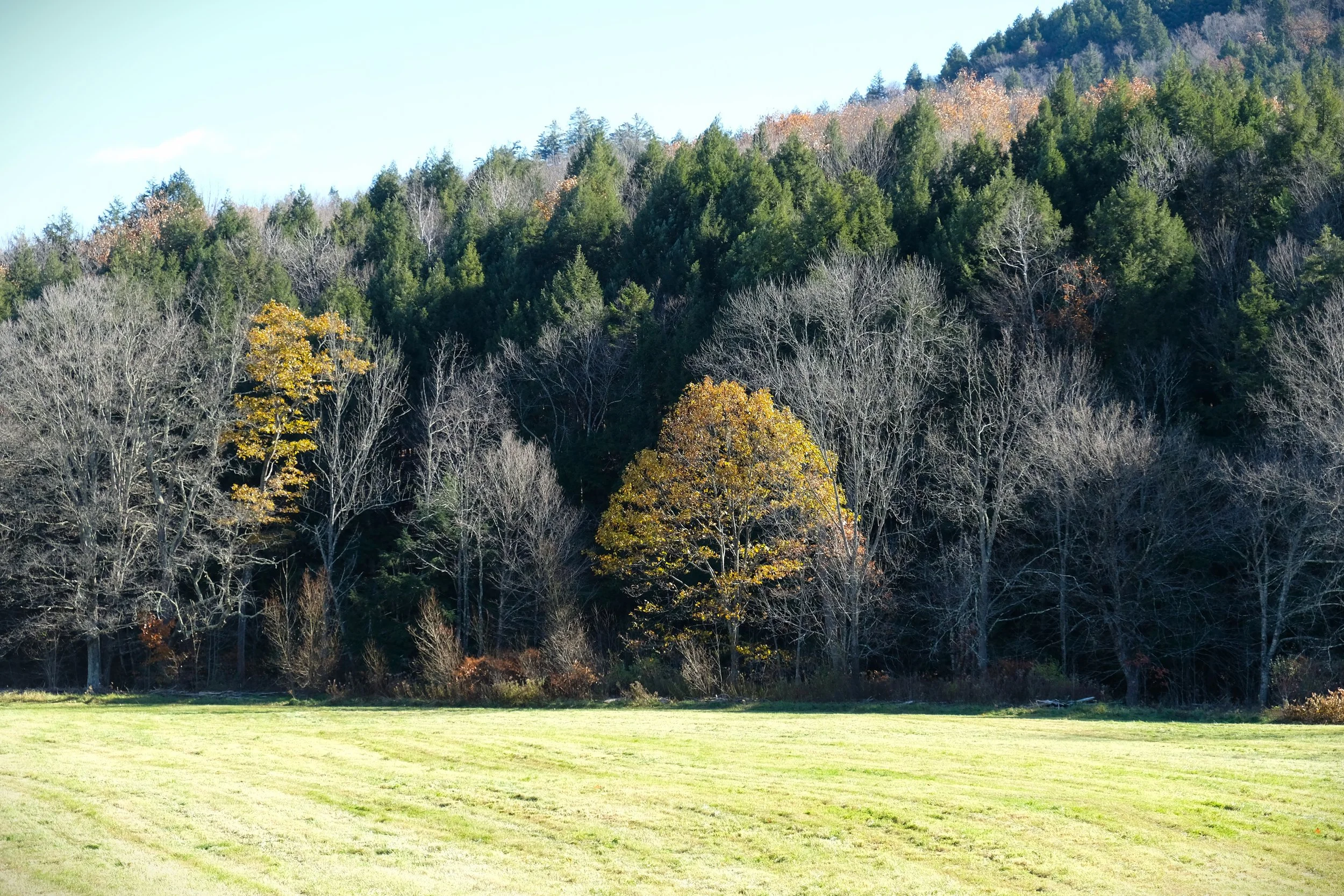 Grafton, VT