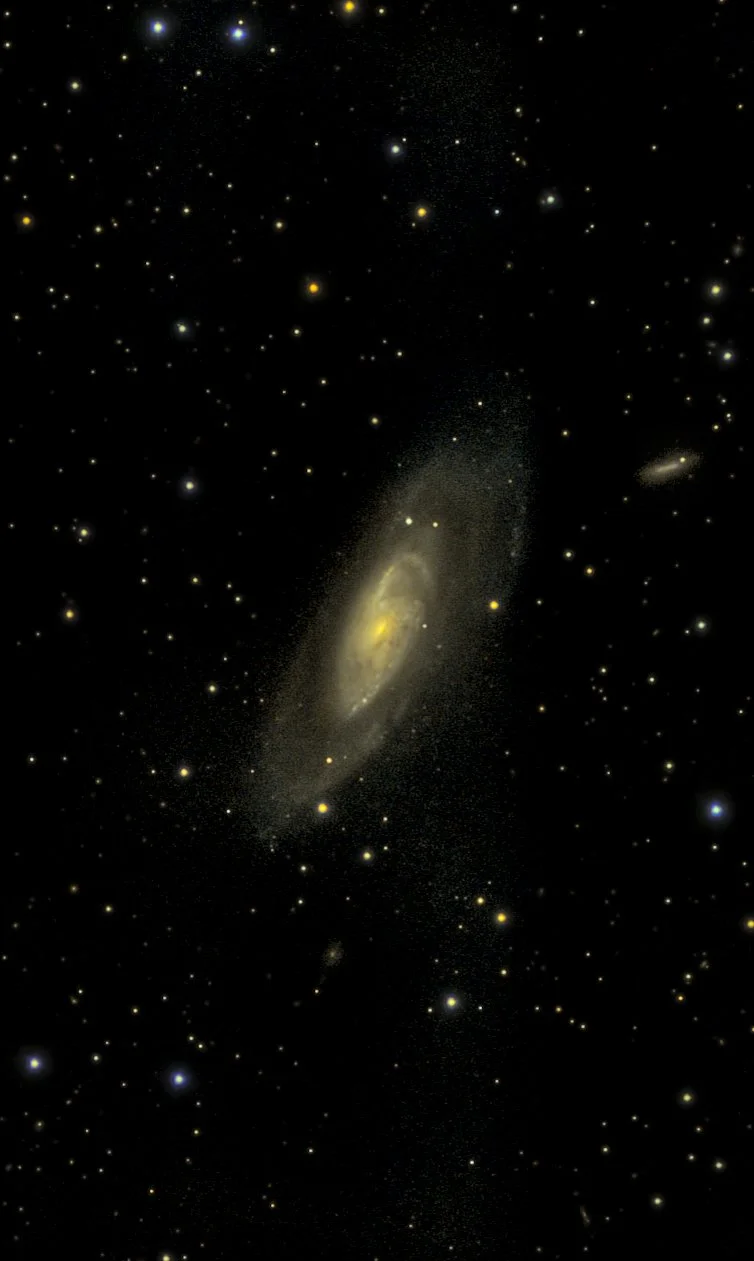 M 81