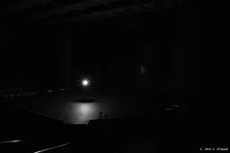 Order Of The Ghostlight 2024-2025 Inductees