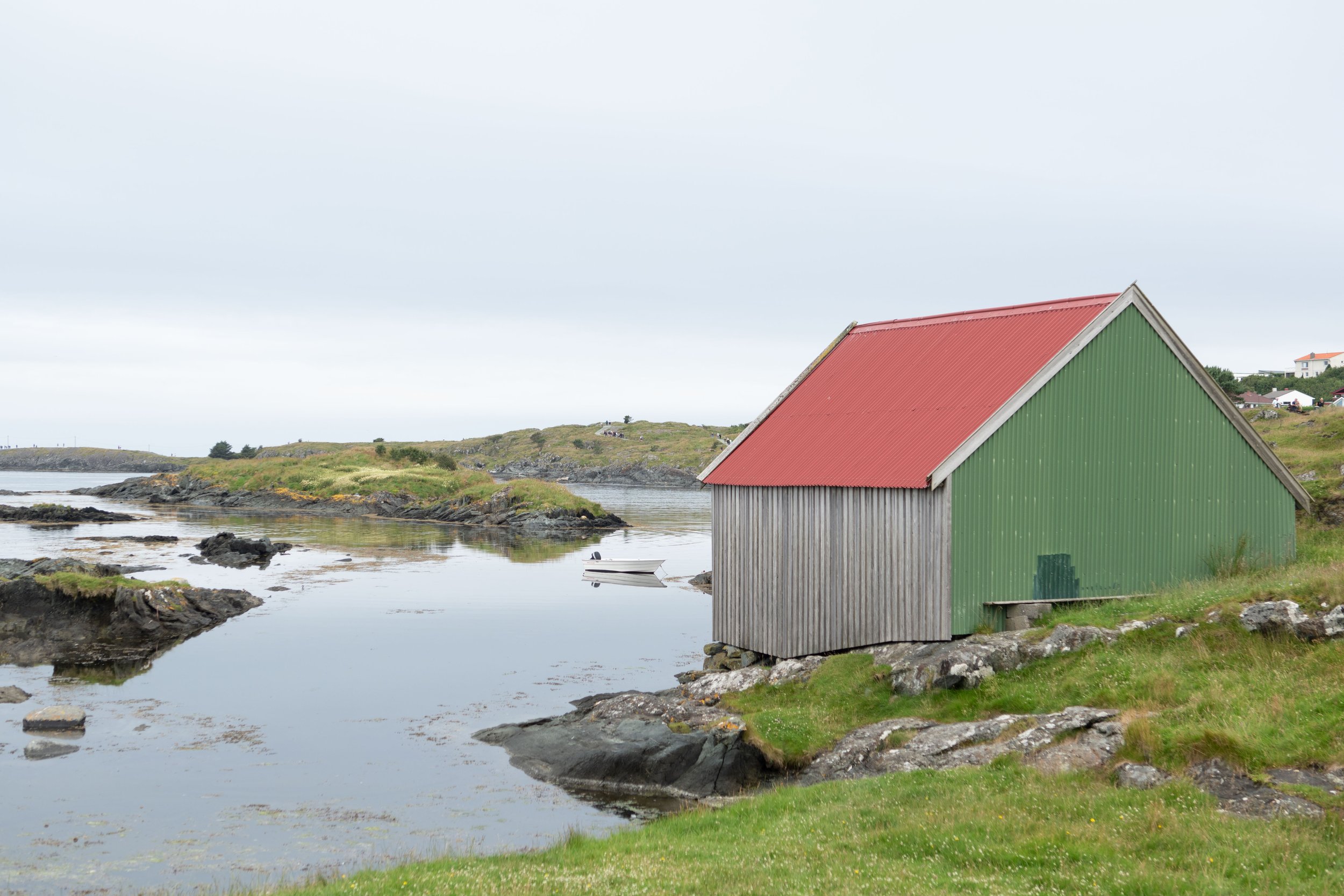 _DSC0519.jpg