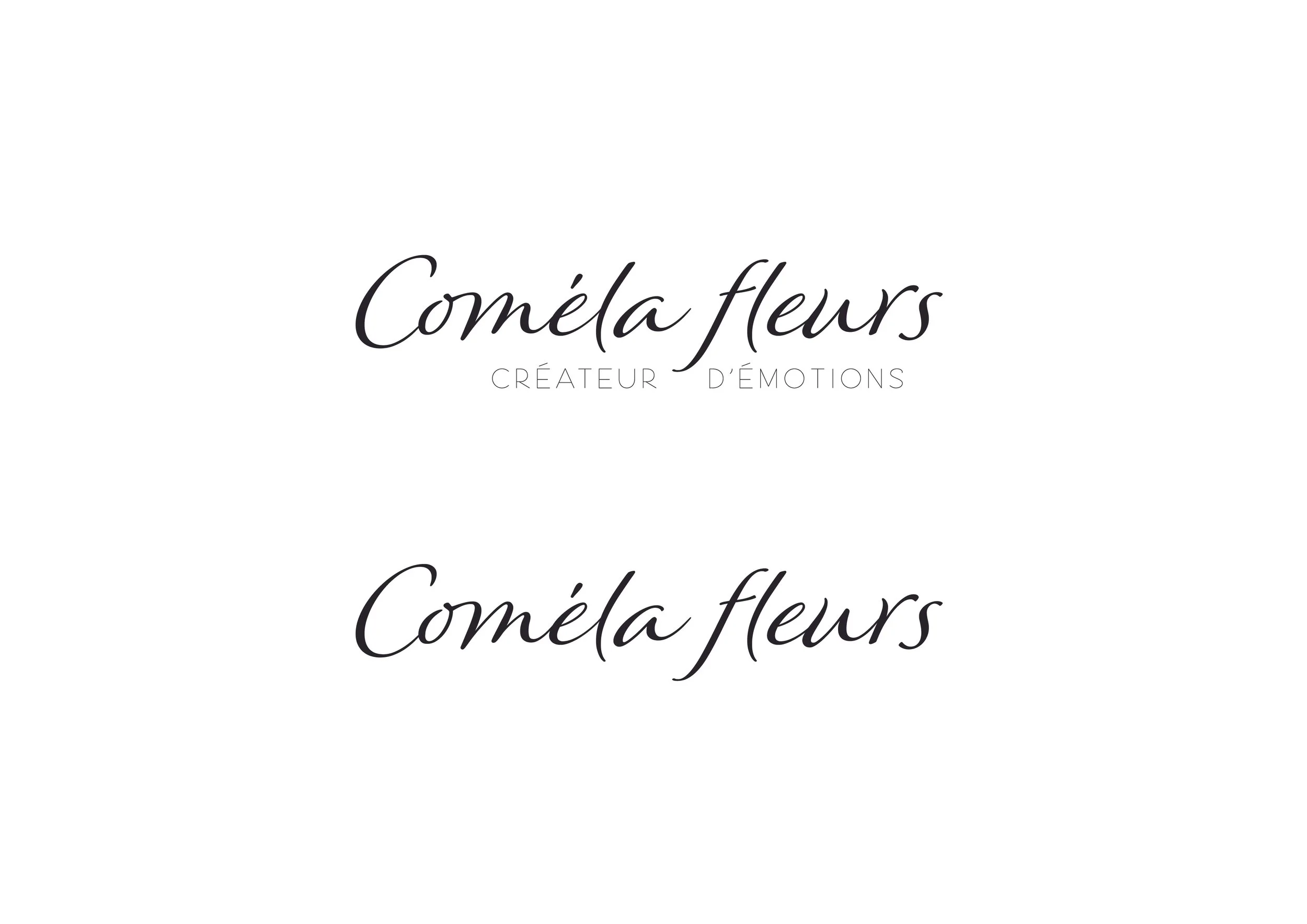 Logo-Comela-ok_Plan de travail 1 copie 4.jpg