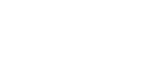 VALEUR 31