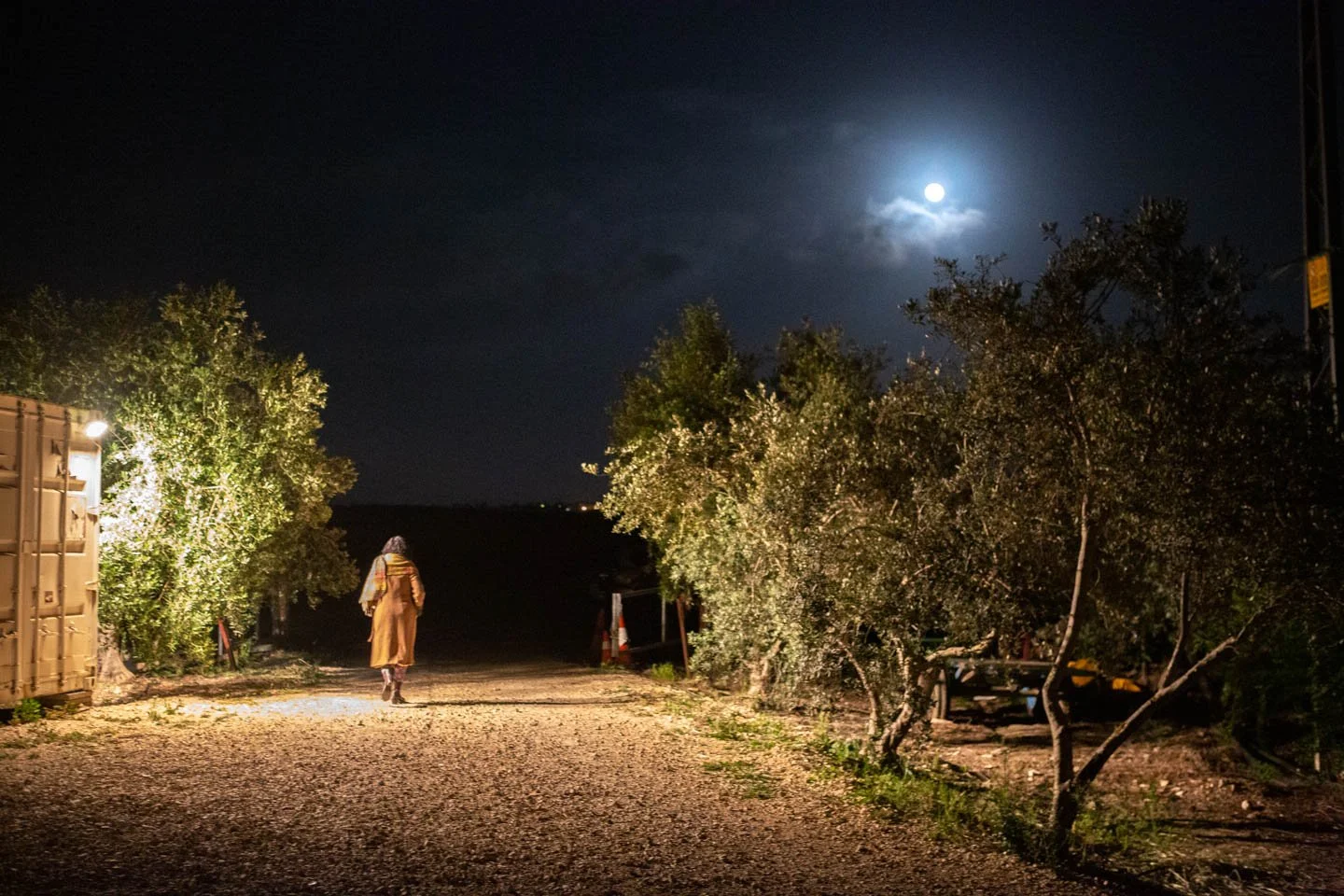 A person walking alone on a dirt path at night, illuminated by a bright moon and night sky with clouds. Sparse trees and a container are visible on the sides.