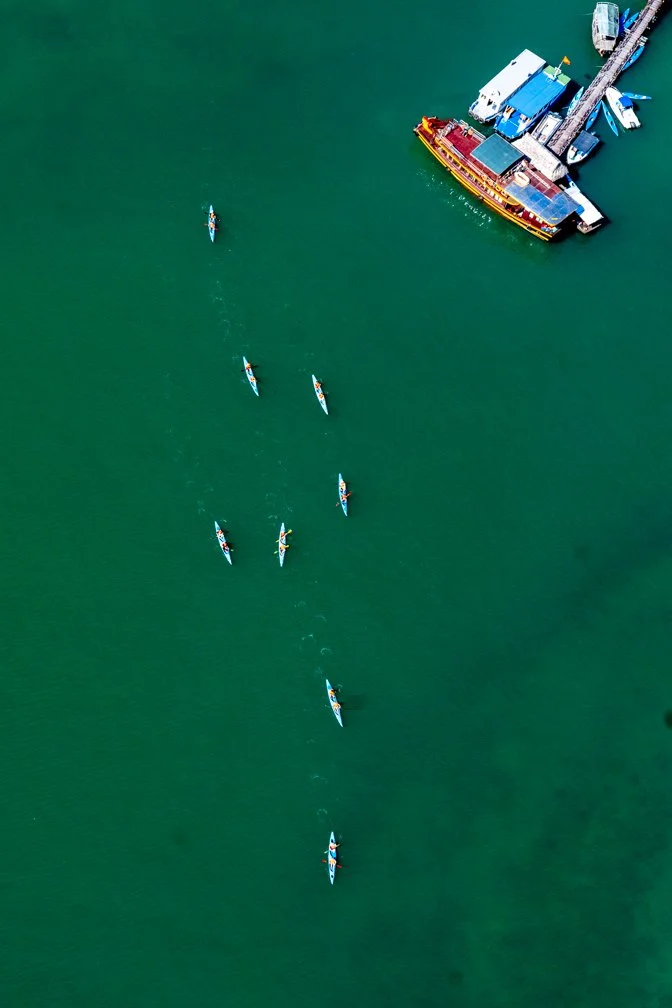 _DSC8707.jpeg