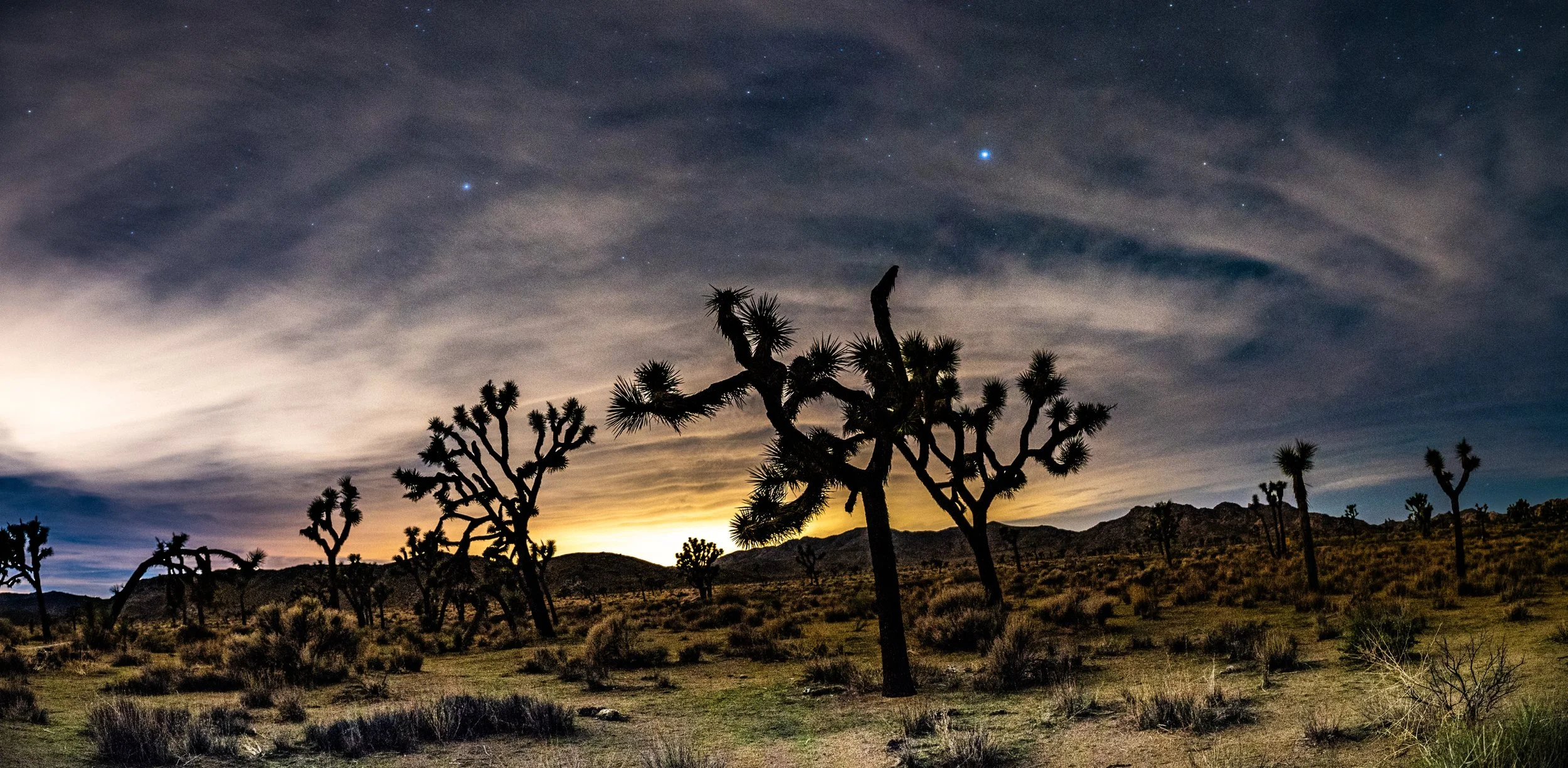 A desert landscape at dusk with silhouette Joshua trees, low mountains, and a sky filled with stars and wispy clouds.