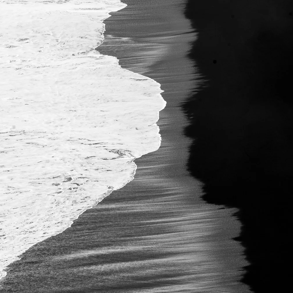 _DSC8447.JPG