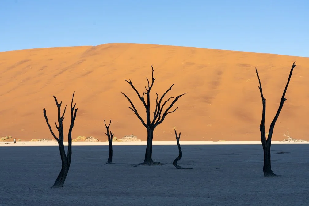 Namibian Dessert.jpg