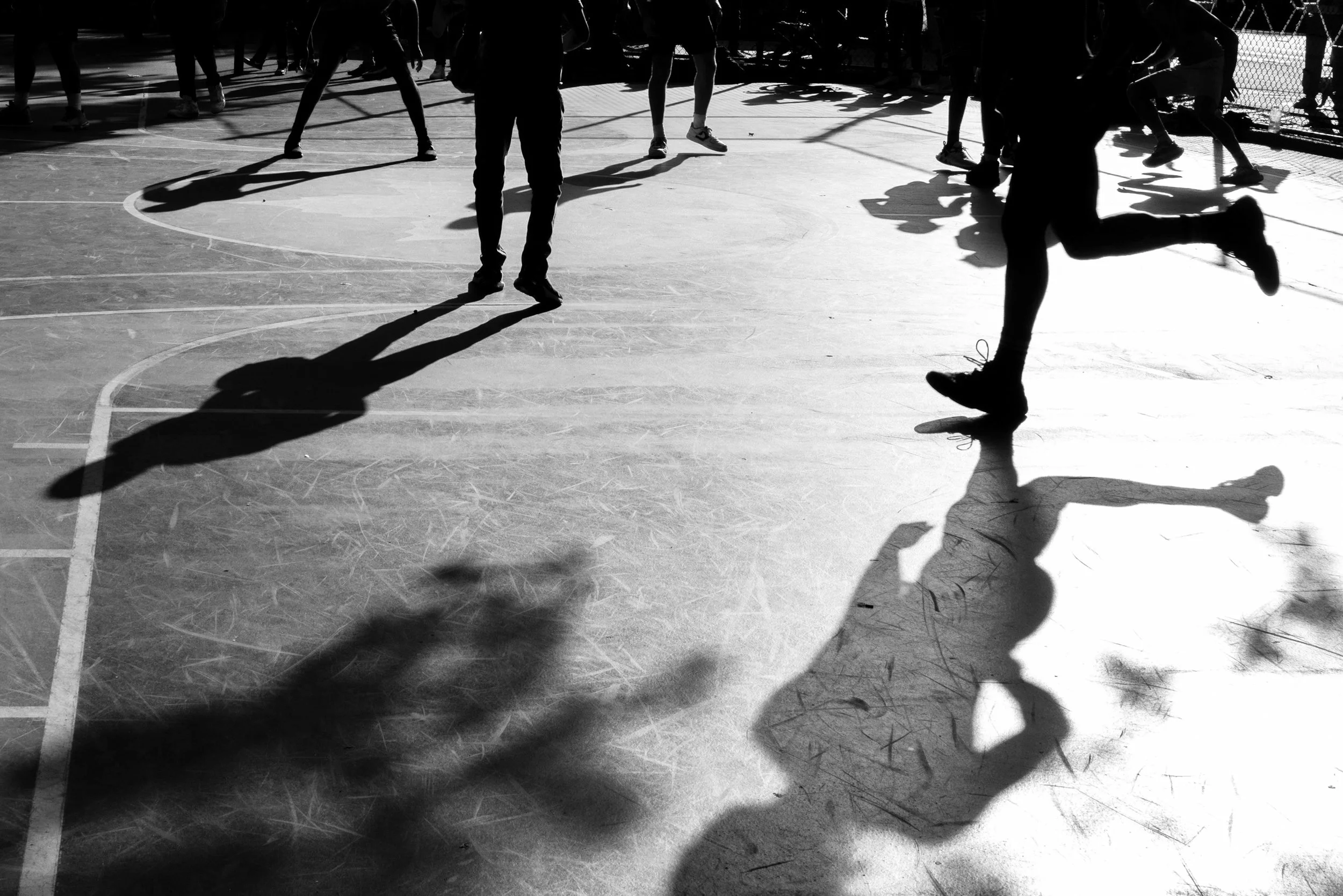 blwhL1070002.jpg